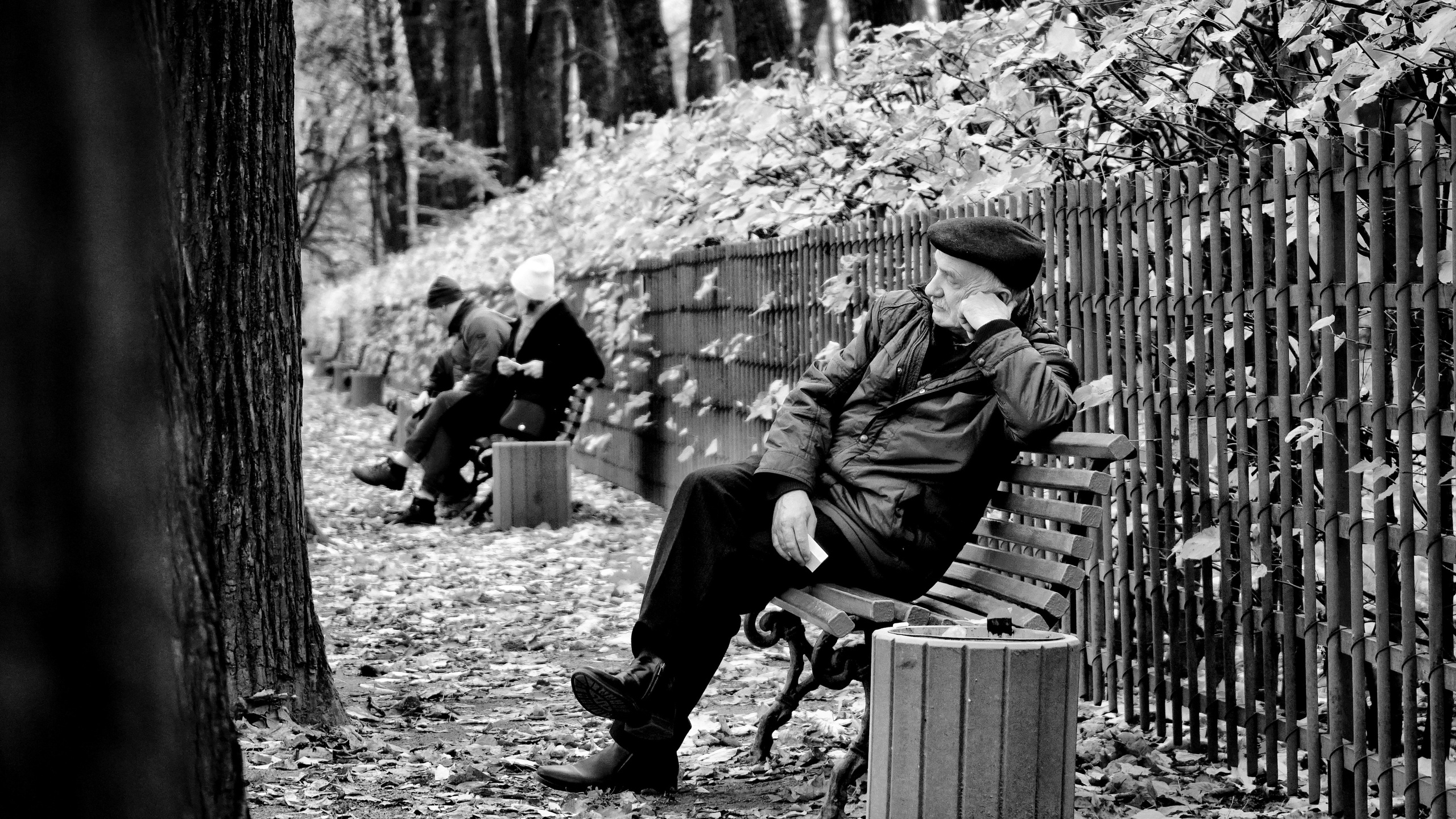 My Monochrome. Мои фото
