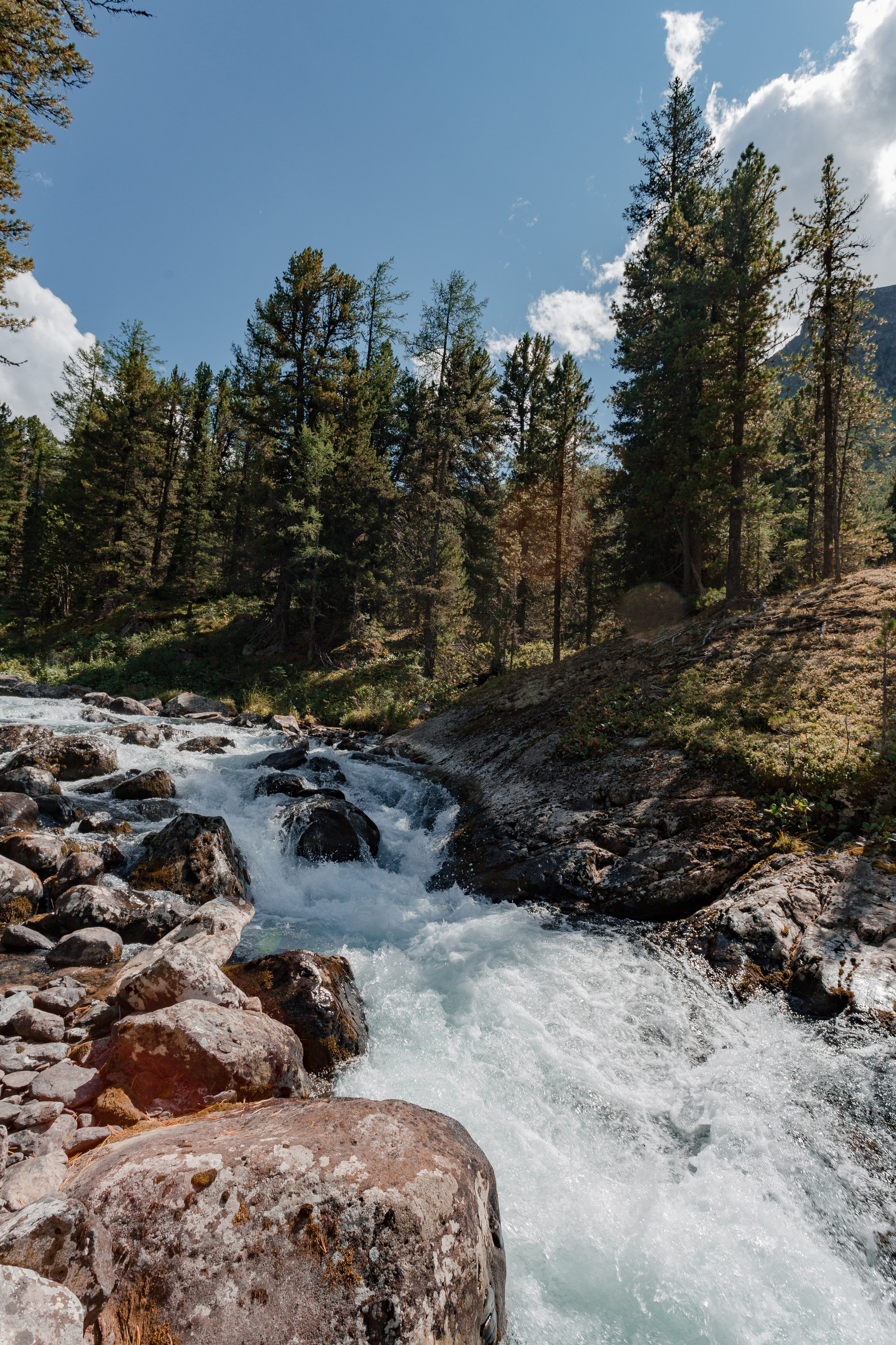 Катунский заповедник, Республика Алтай. Репортажный фотограф в Крыму Ксения Гасица