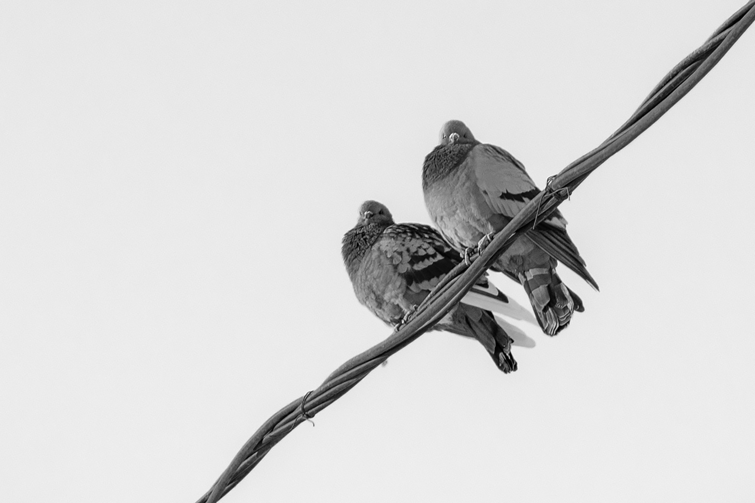 Стрит фотография. Видеосъемка, фотосъемка Искитим — Новосибирск, Сергей Тясто