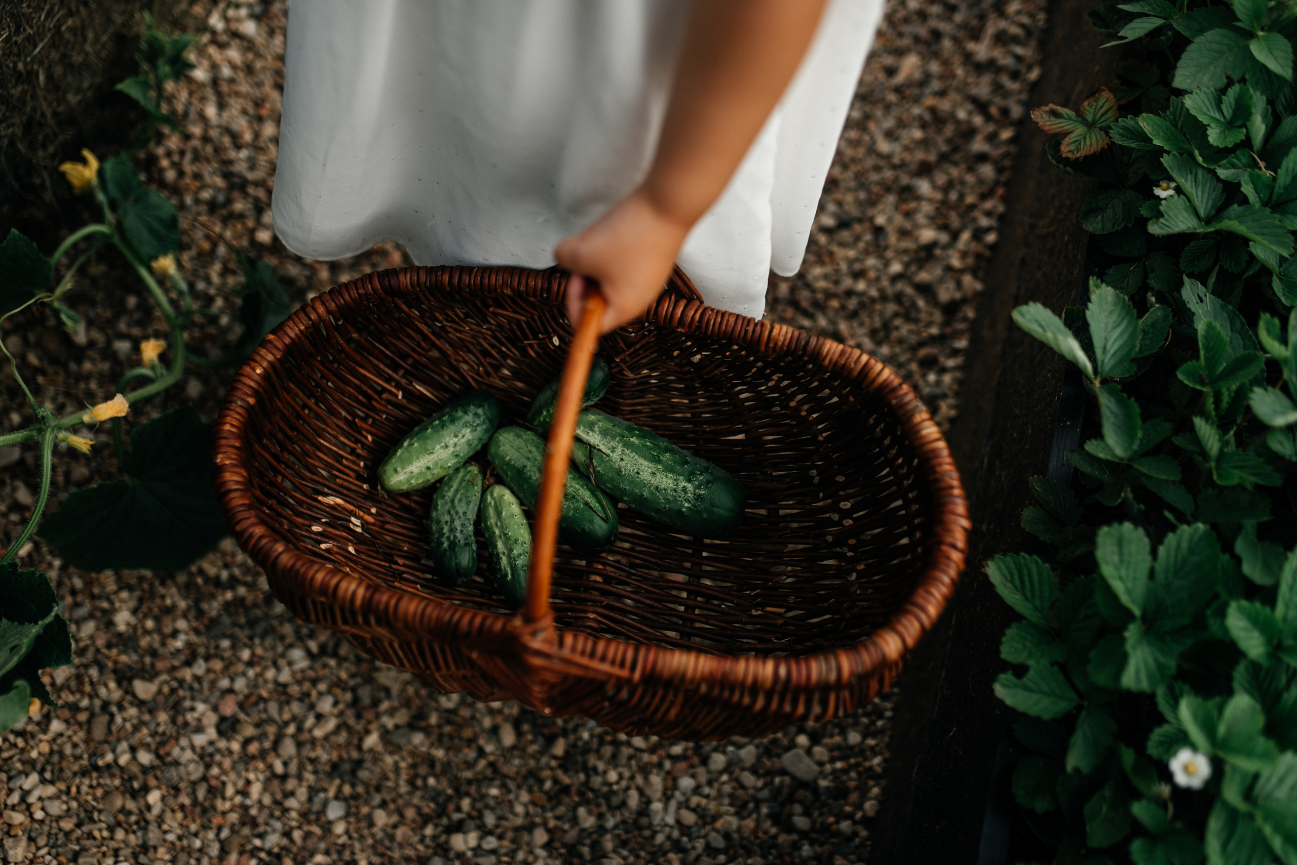 Настя+Витя+Катя+Артур+Степа+Нина. Костюшко Кристина — семейный и свадебный фотограф в Минске