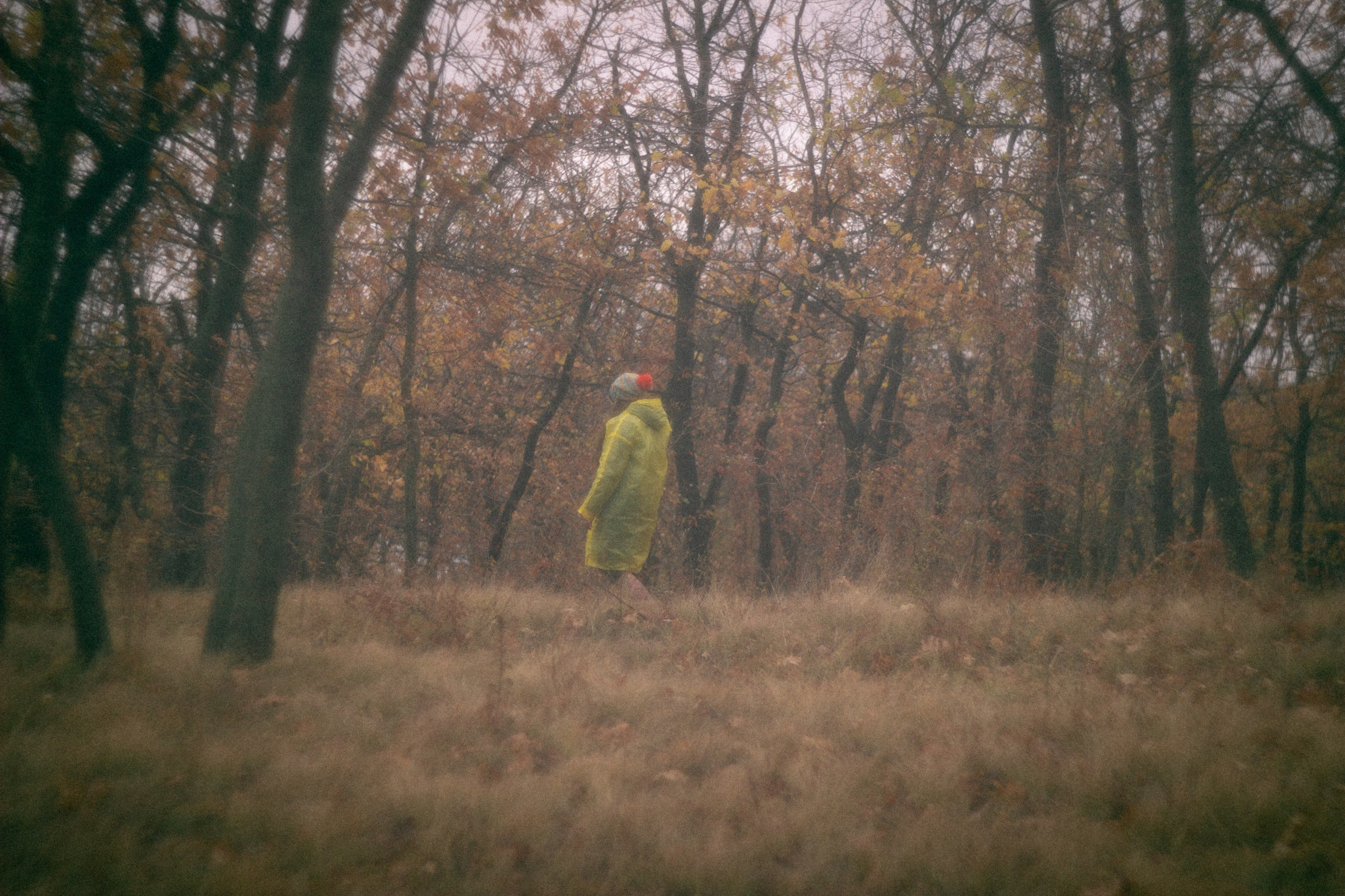 Туманная осень. • Фотограф Александра Светозар Алчевск •