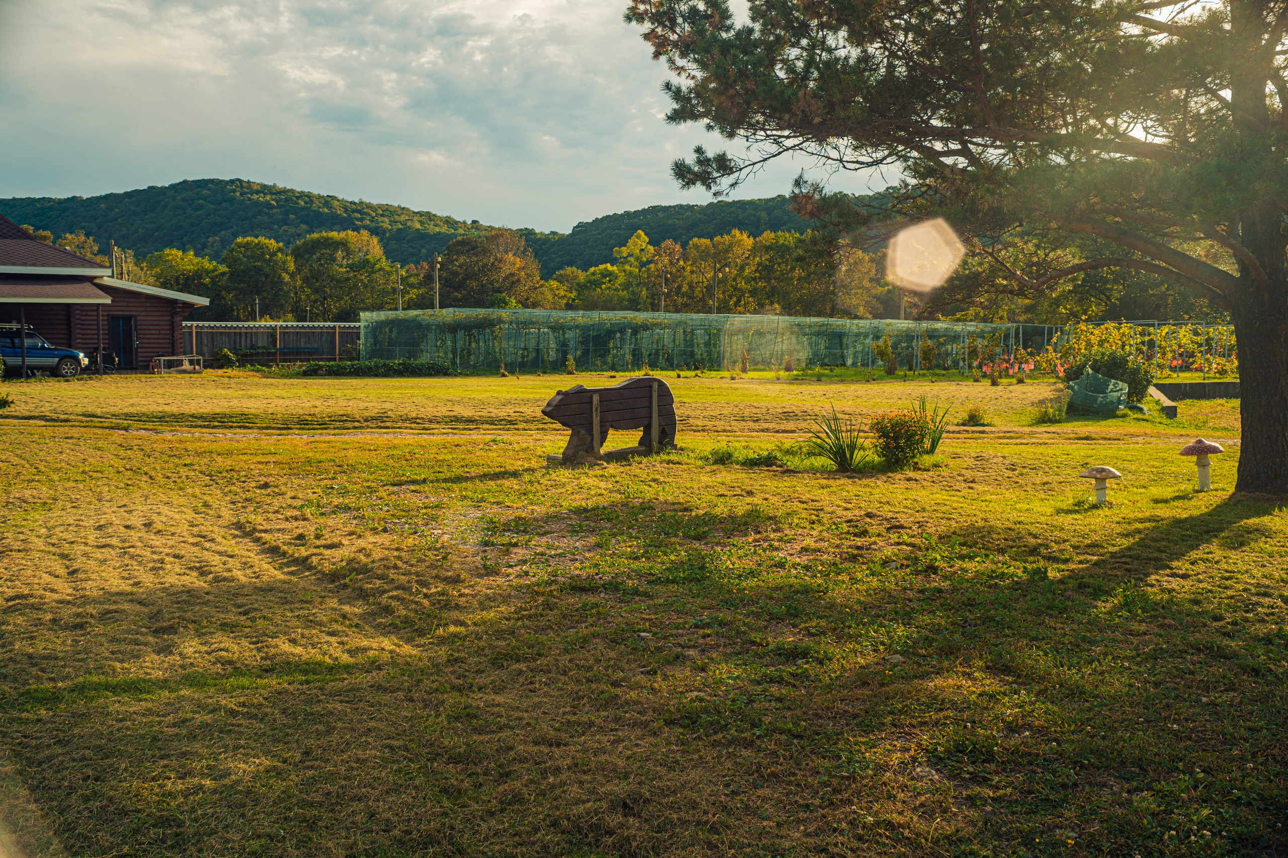 Майхинское хозяйство. Иван Зайцев (IZIART) — создание культурного кода через фото и видео