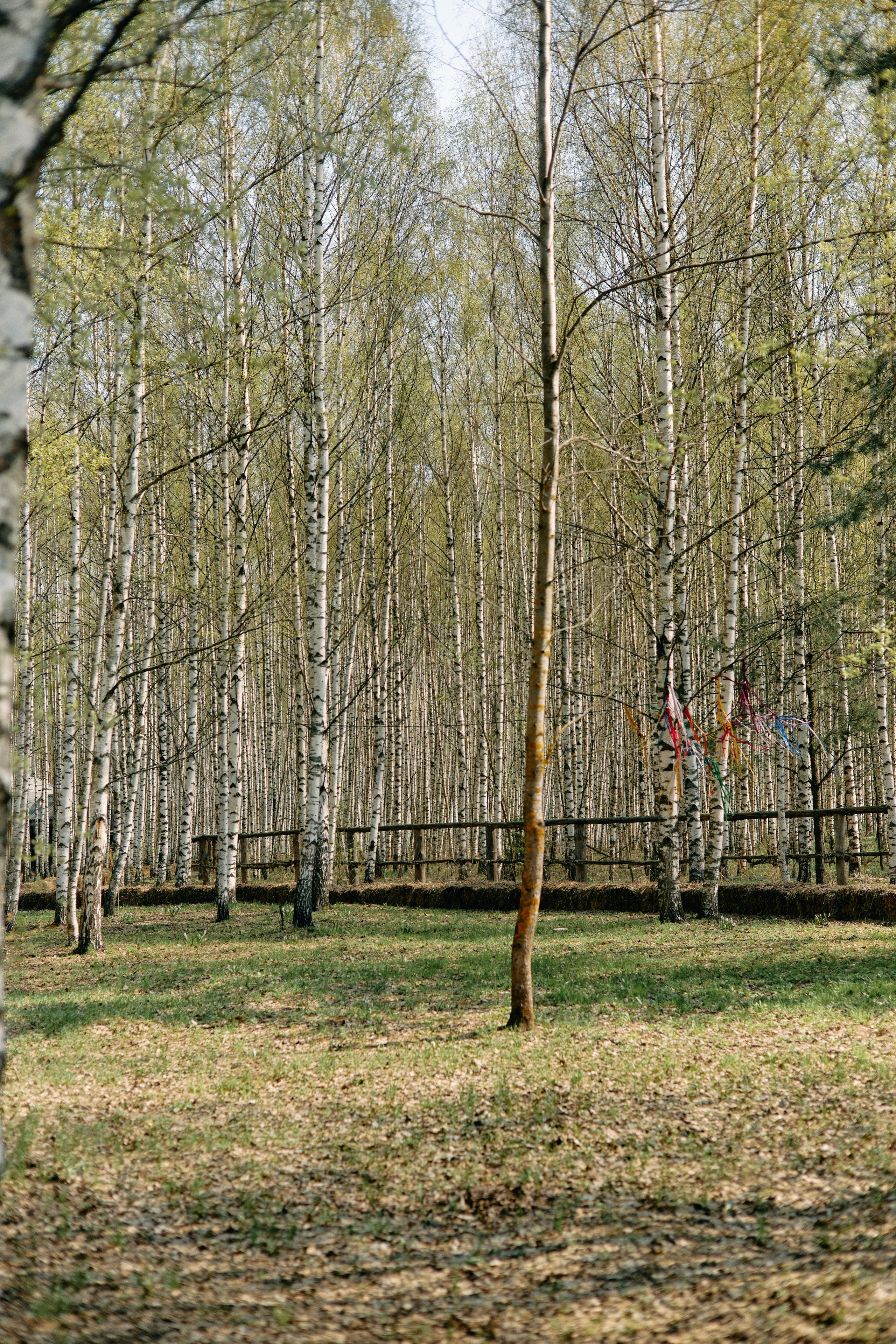 Бутик-отель Поле летом. Профессиональный Фотограф во Владимире, в Москве и в Суздале — Полина Романычева