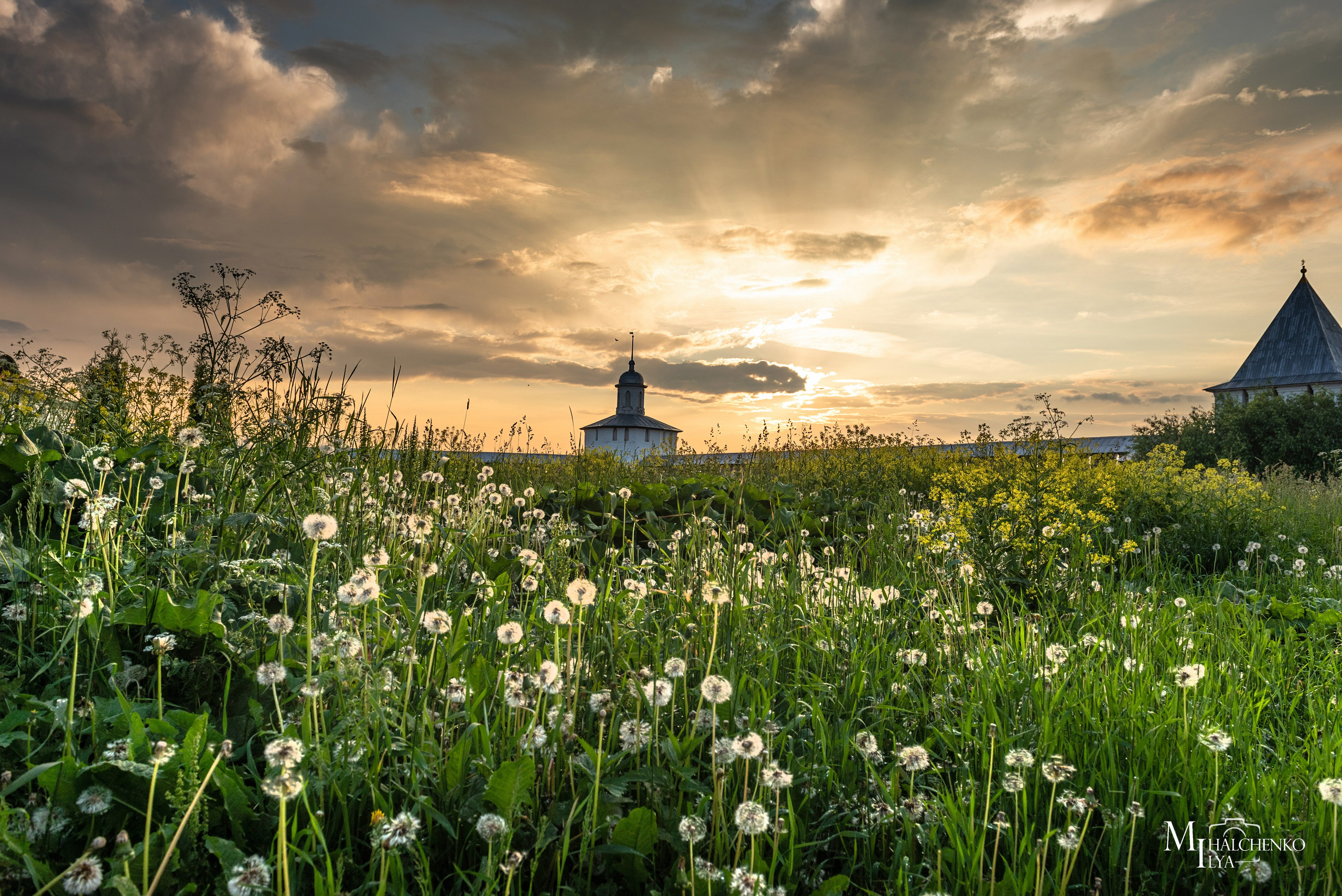 Пейзажи и архитектура. Портретная и репортажная съёмка
