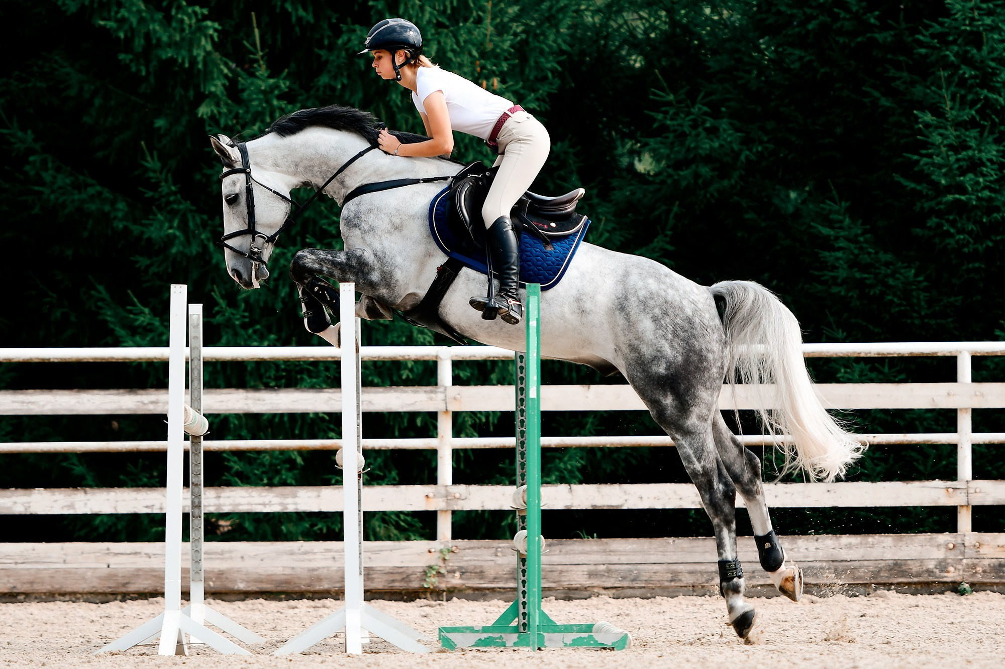 Тренировки. Конный фотограф Alesya Safe