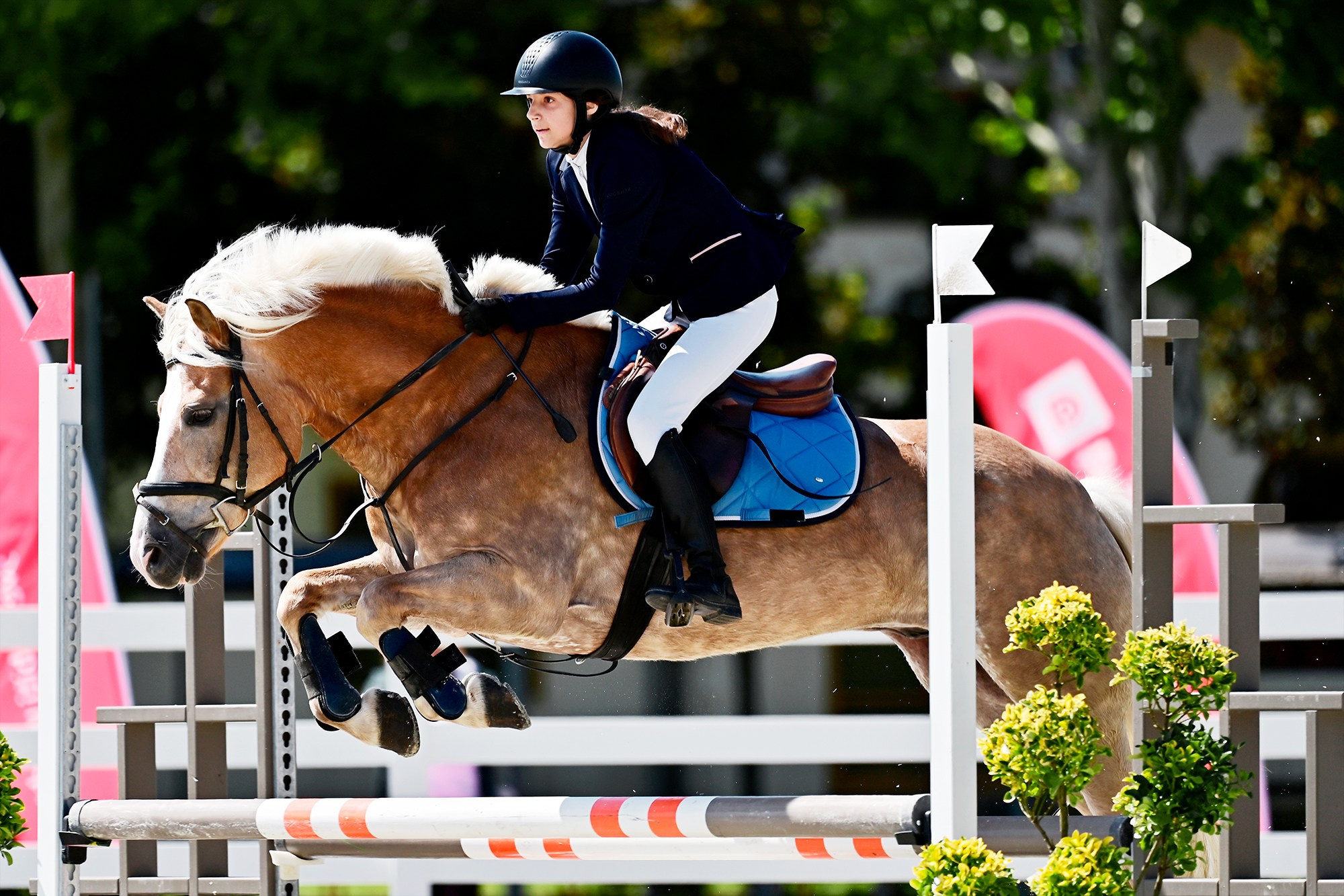 Конкур. Конный фотограф Alesya Safe