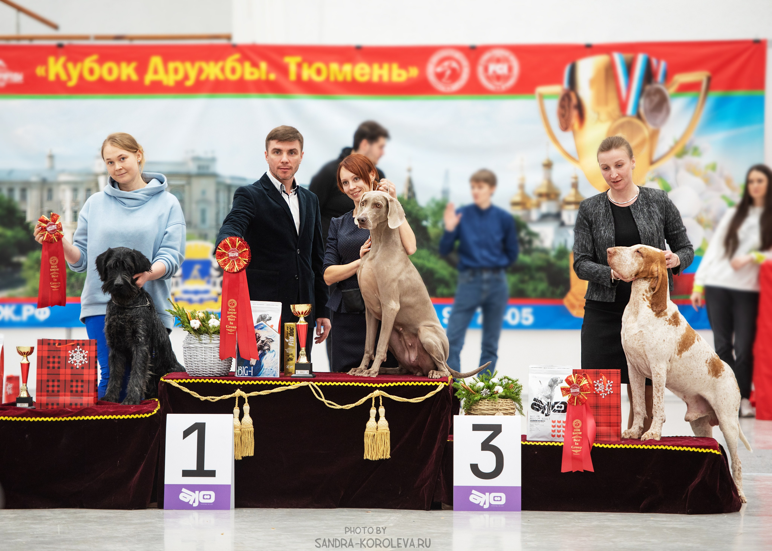 Выставки. Главная