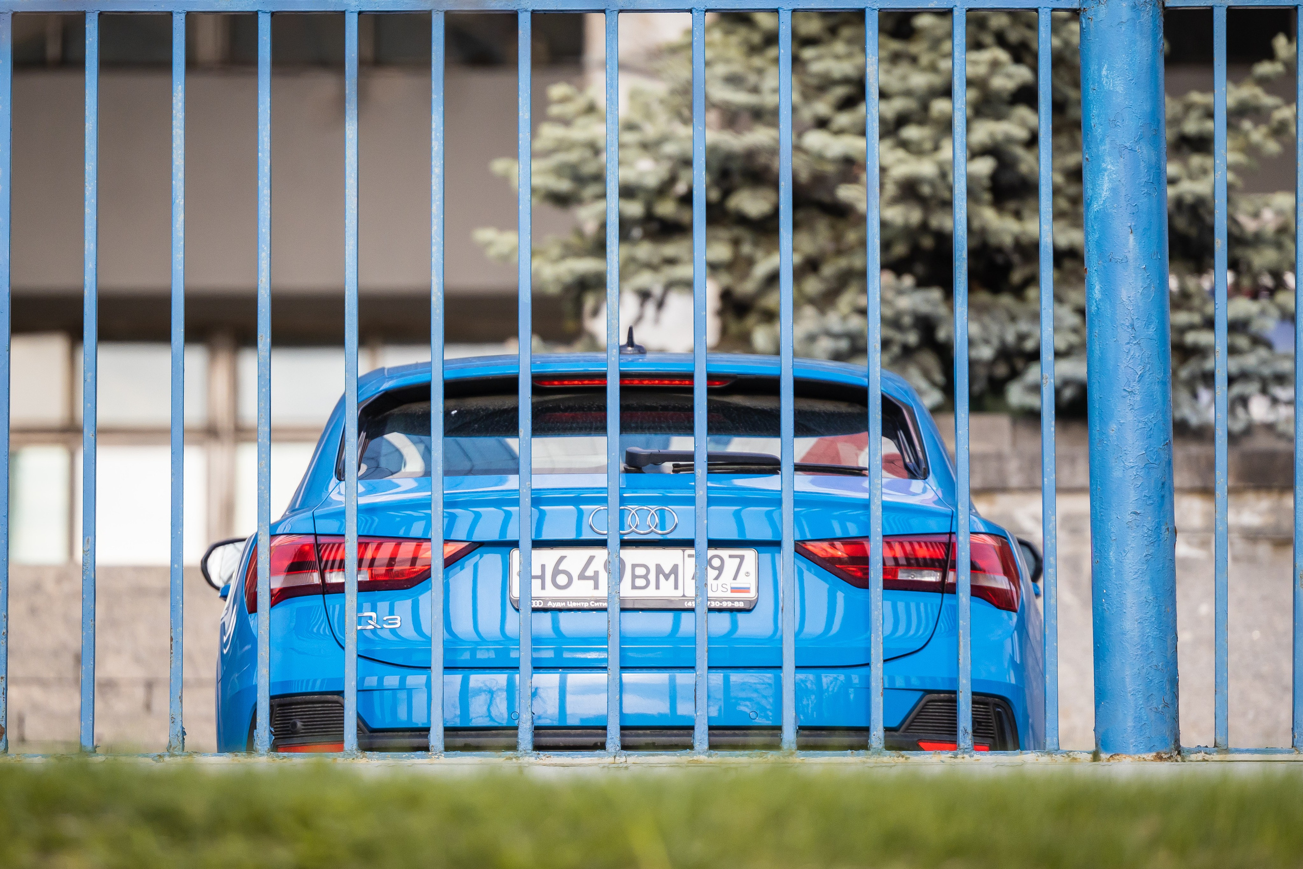 Мимикрия (Городской камуфляж). Фотограф Владимир Охрименко