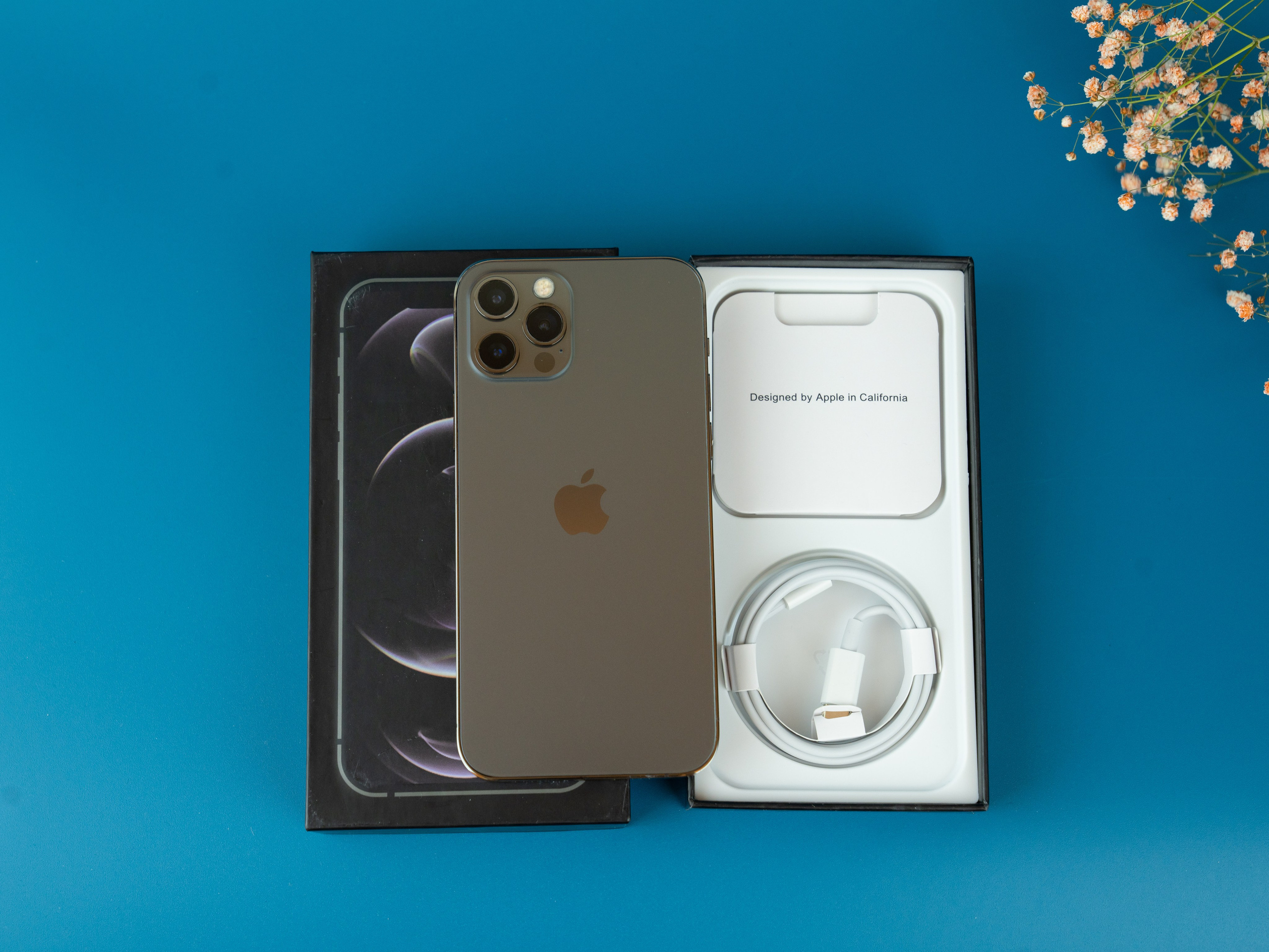 IPhone. Фотограф в Санкт-Петербурге Мария Александрова