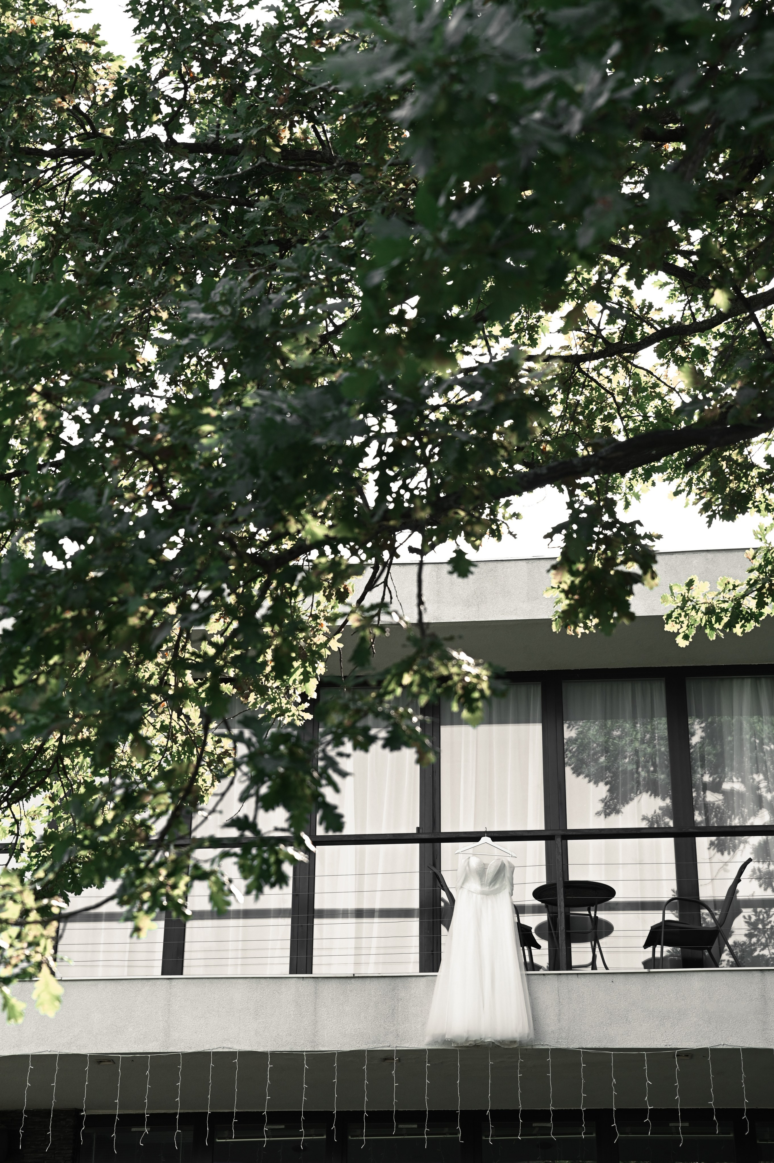 Женя и Настя. Свадебный фотограф Евгения Наумовец