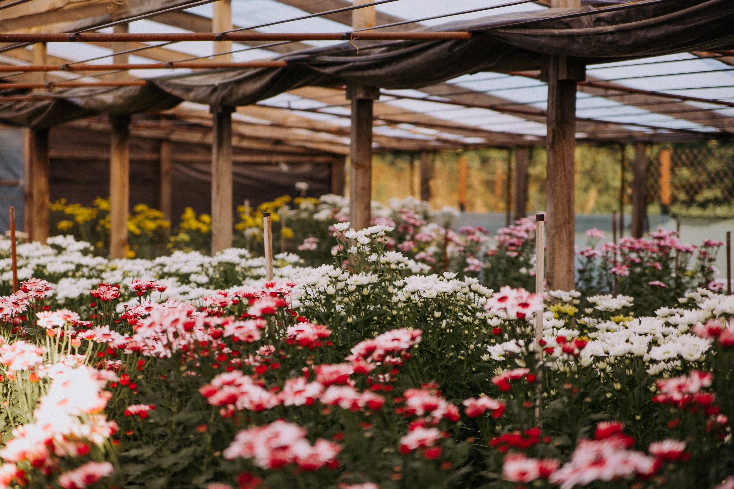 Годовасие дома. Семейный и персональный фотограф в Ростове-на-Дону