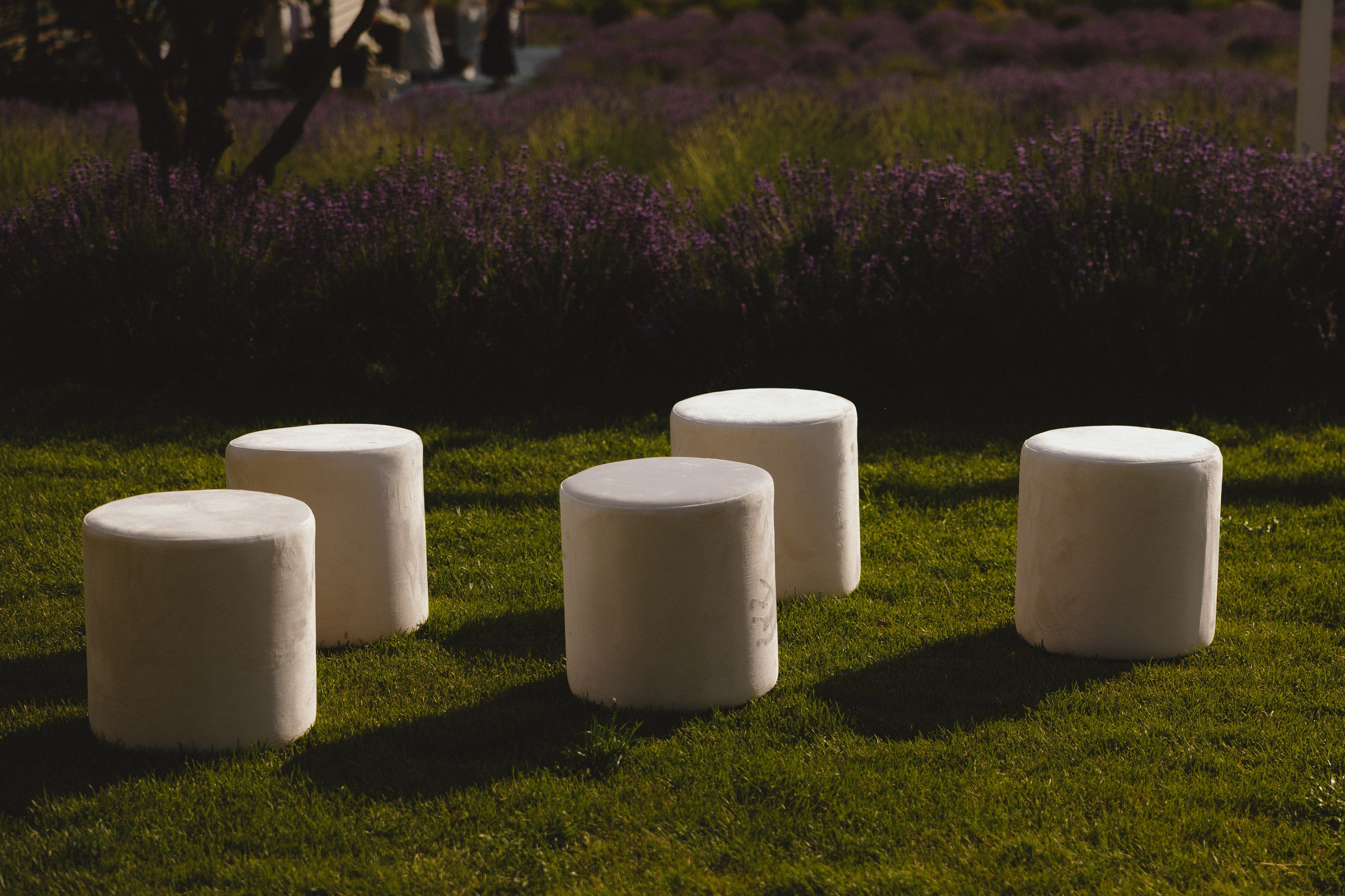 Lemon. Свадебный фотограф Роман Еремеев