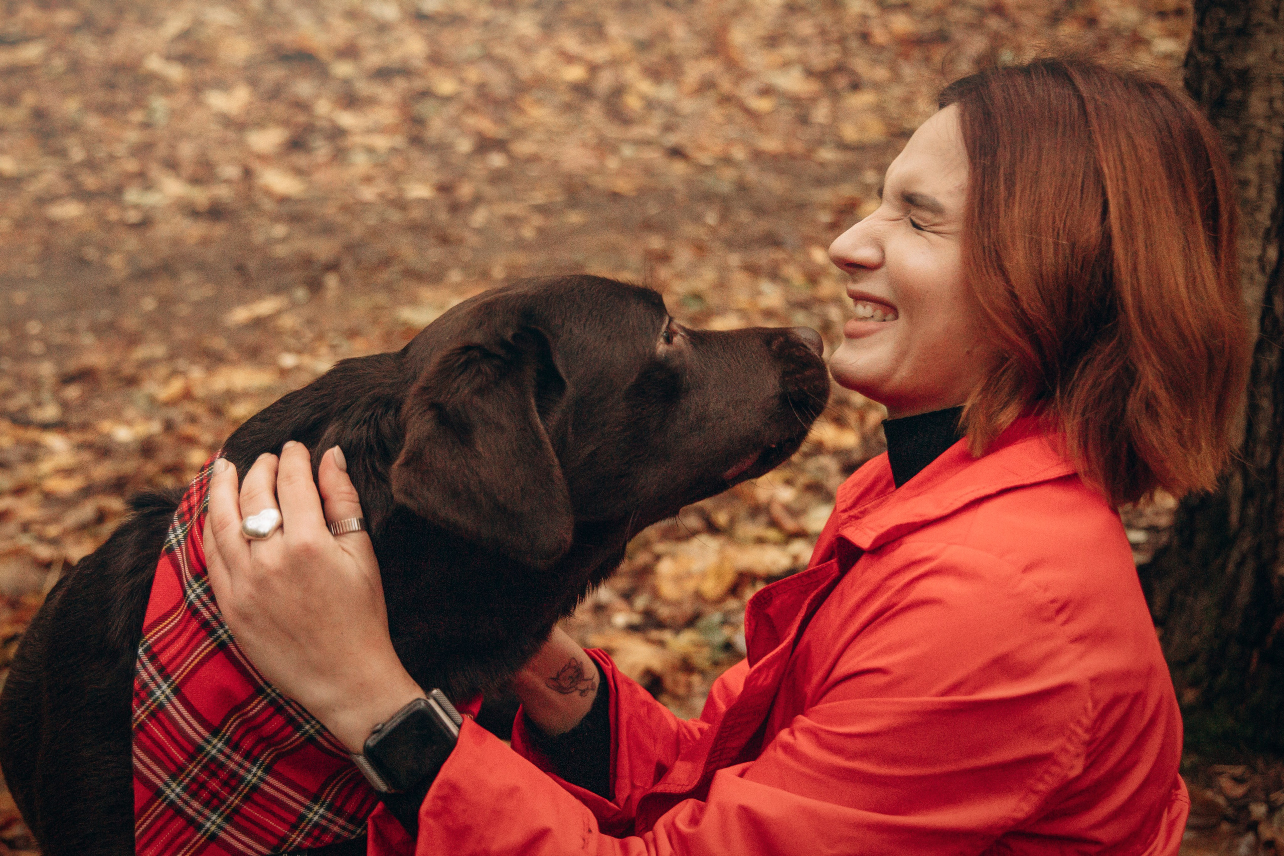 Арина и Сэмми. Фотограф — Анималист | Санкт-Петербург