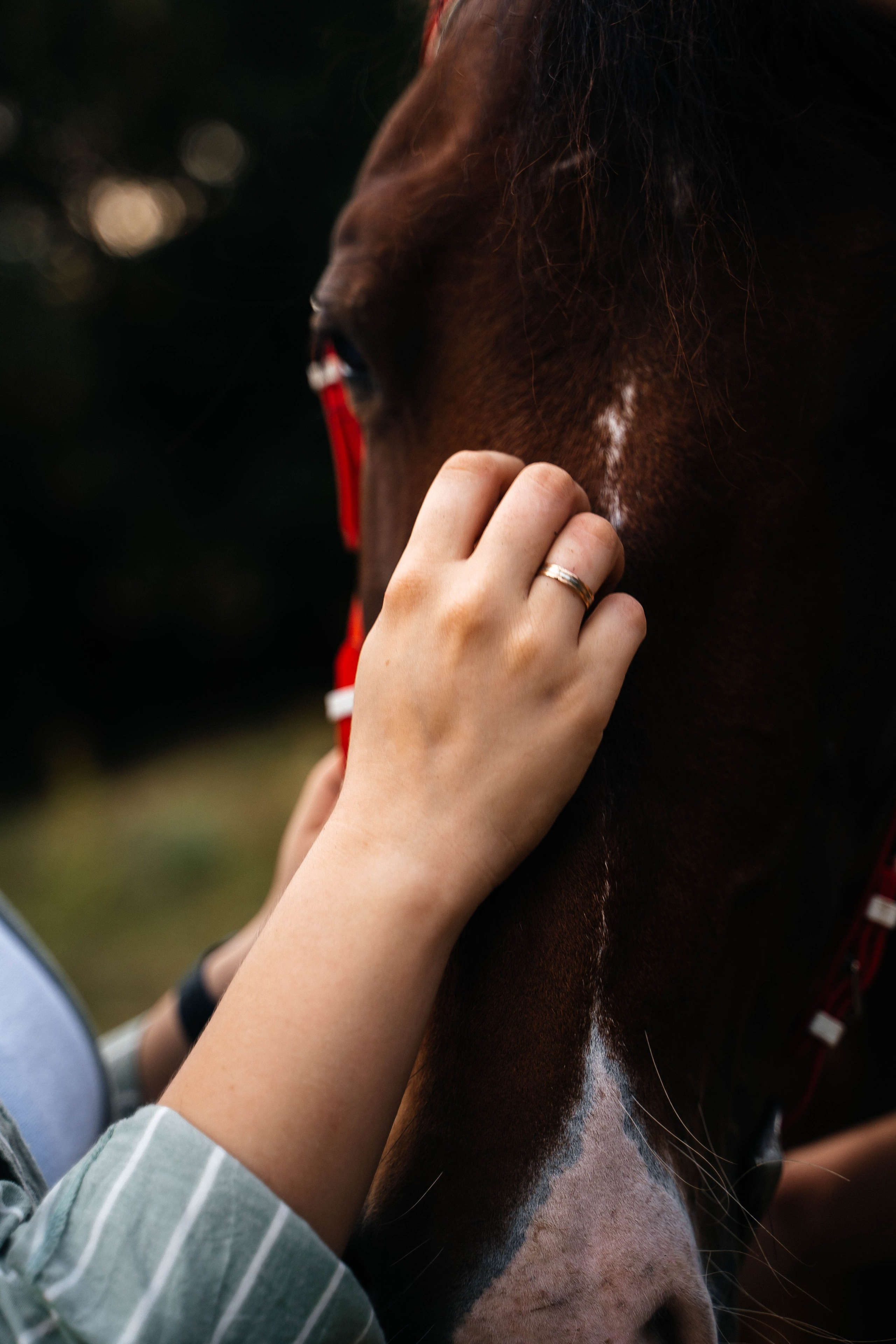 Даня и Лера на Ранчо. Свадебный и семейный фотограф