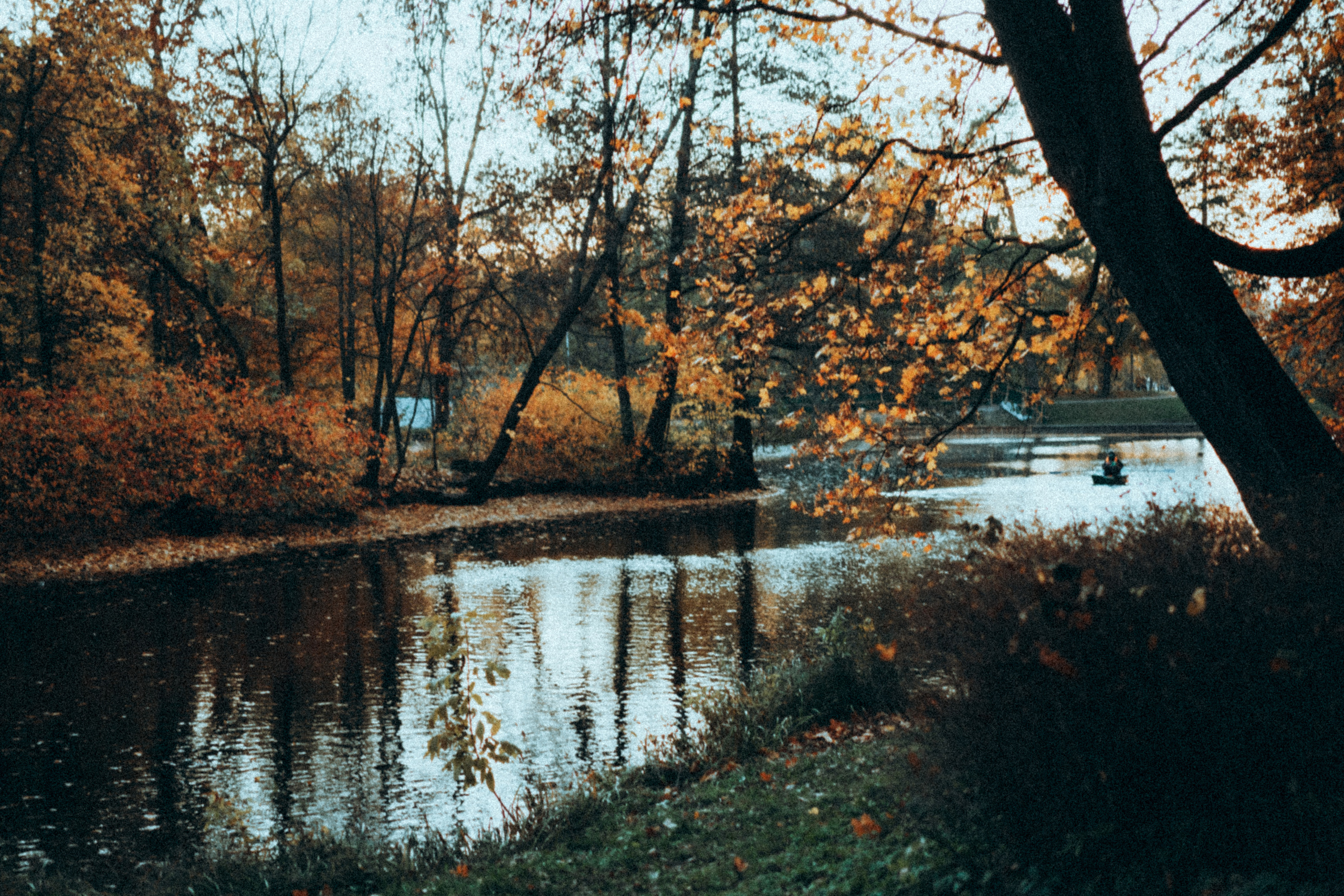 Ольга. Фотограф в Санкт-Петербурге Батурина Елена