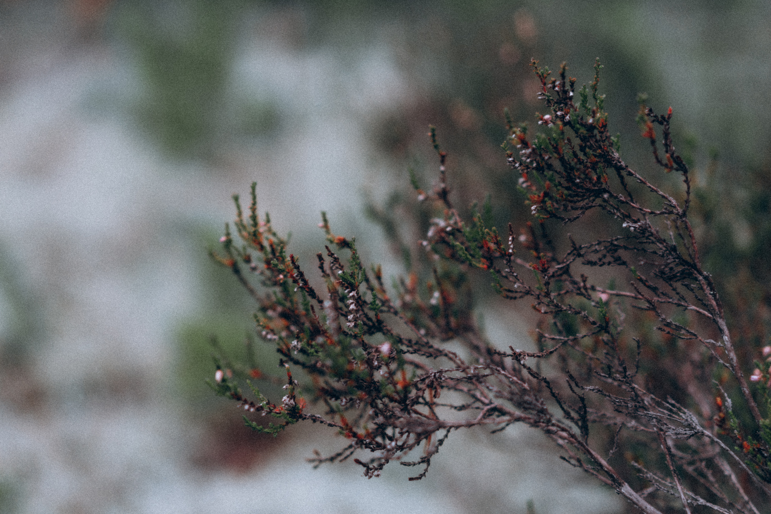 Игорь и Гоша. Фотограф в Санкт-Петербурге Батурина Елена