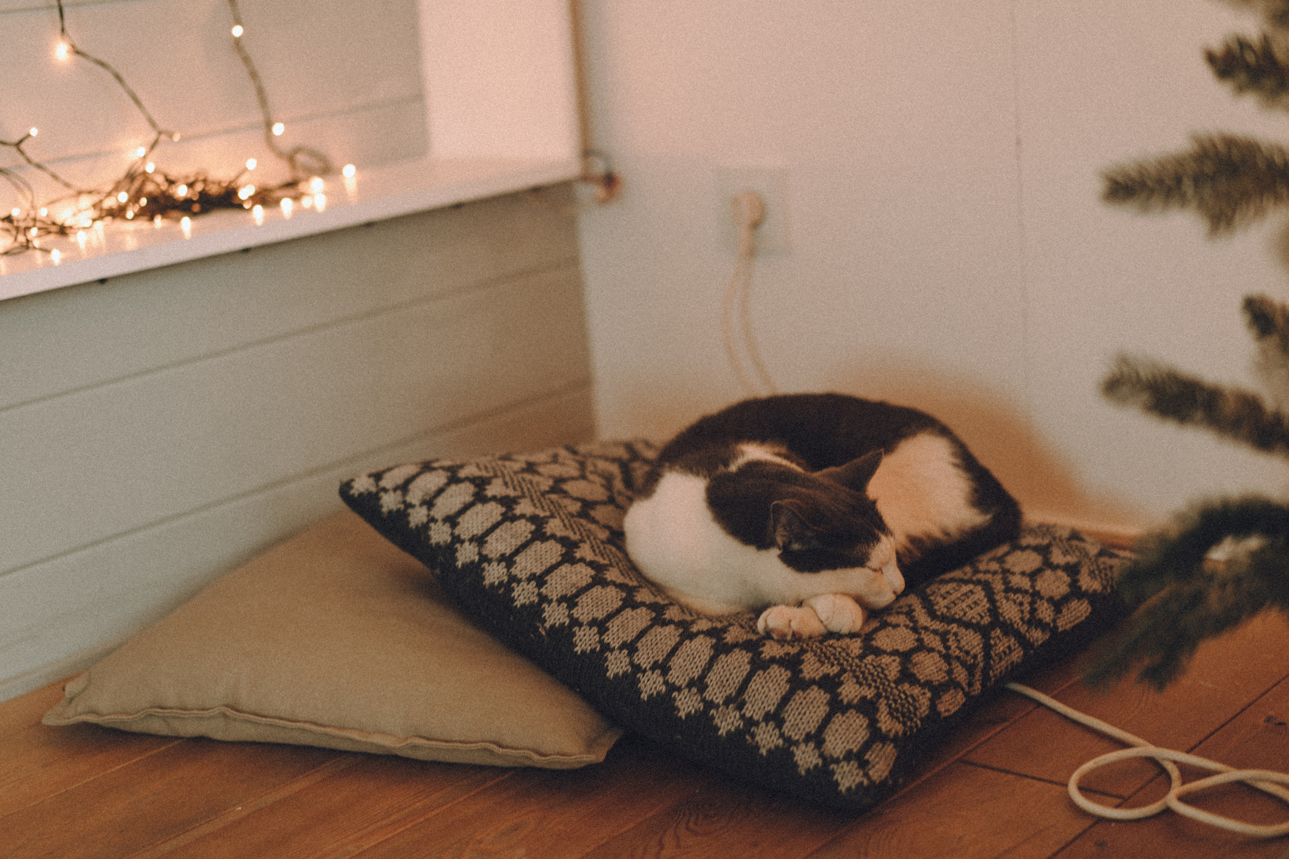 Катя. Фотограф в Санкт-Петербурге Батурина Елена