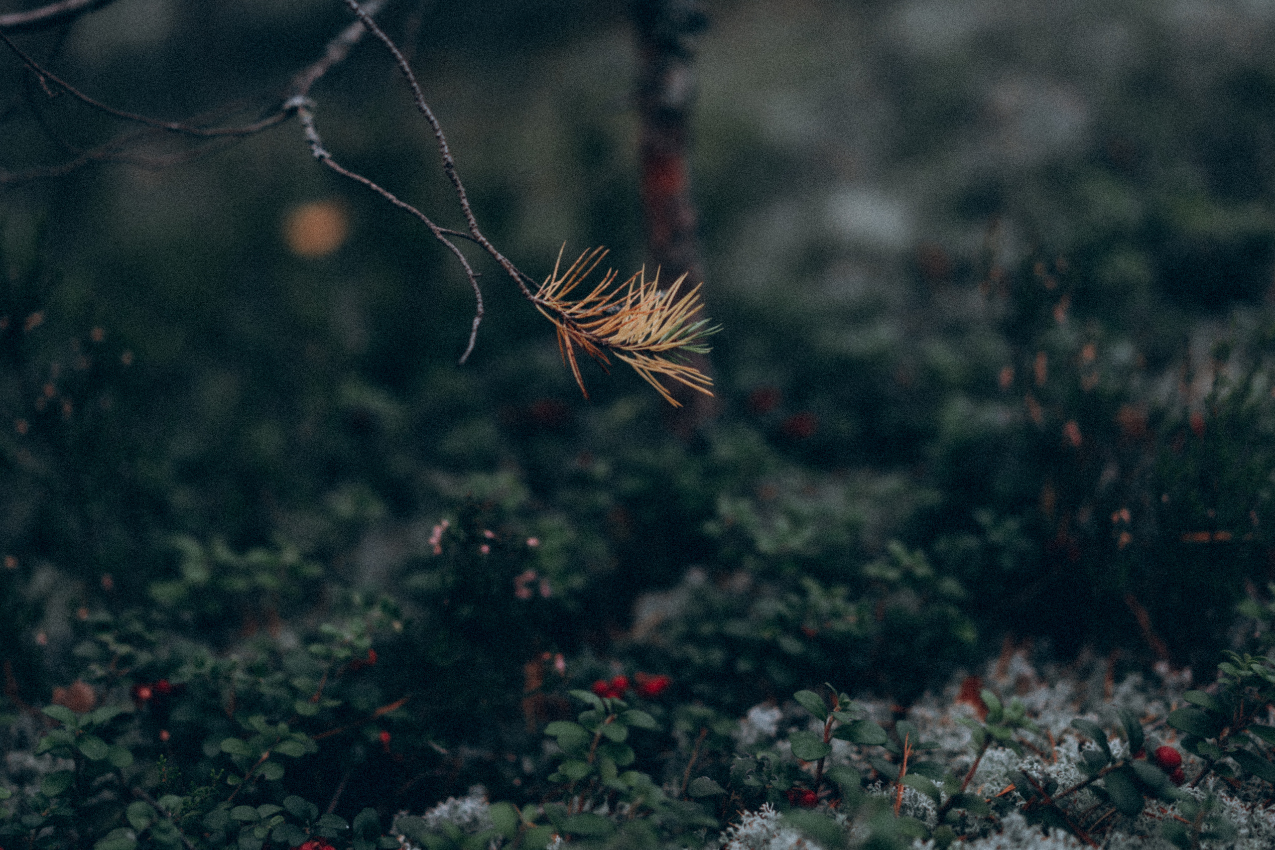 Игорь и Гоша. Фотограф в Санкт-Петербурге Батурина Елена