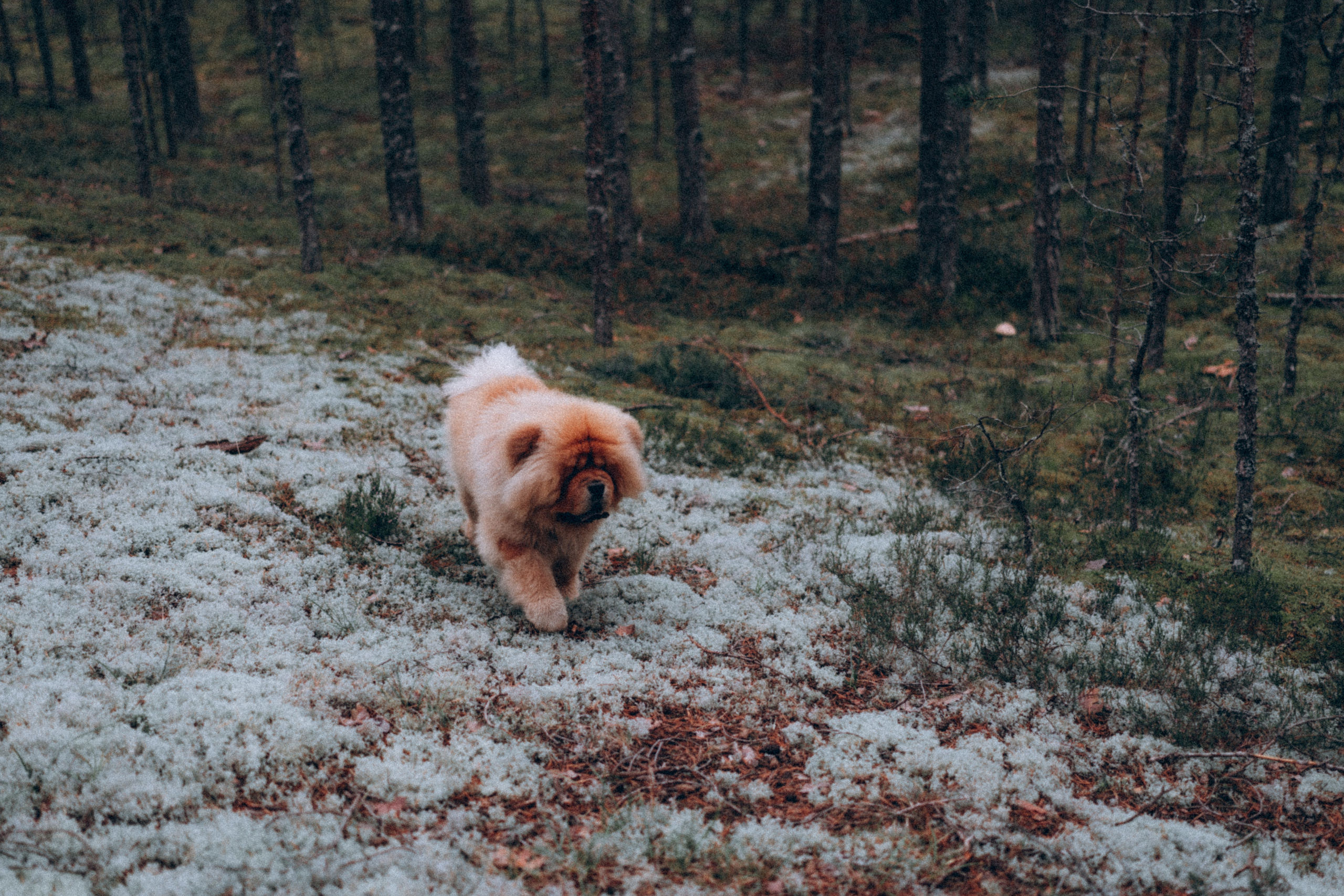 Игорь и Гоша. Фотограф в Санкт-Петербурге Батурина Елена