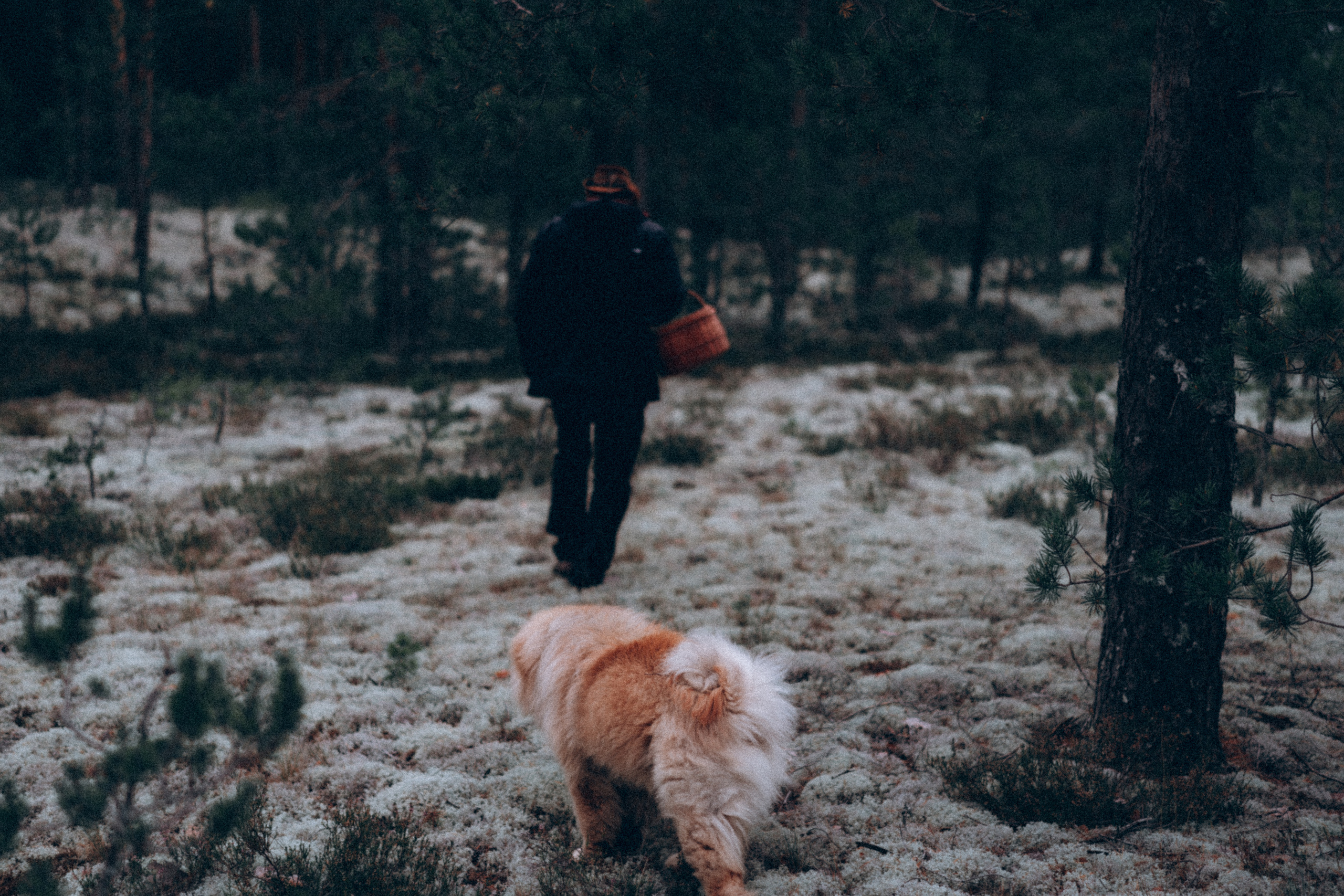 Игорь и Гоша. Фотограф в Санкт-Петербурге Батурина Елена
