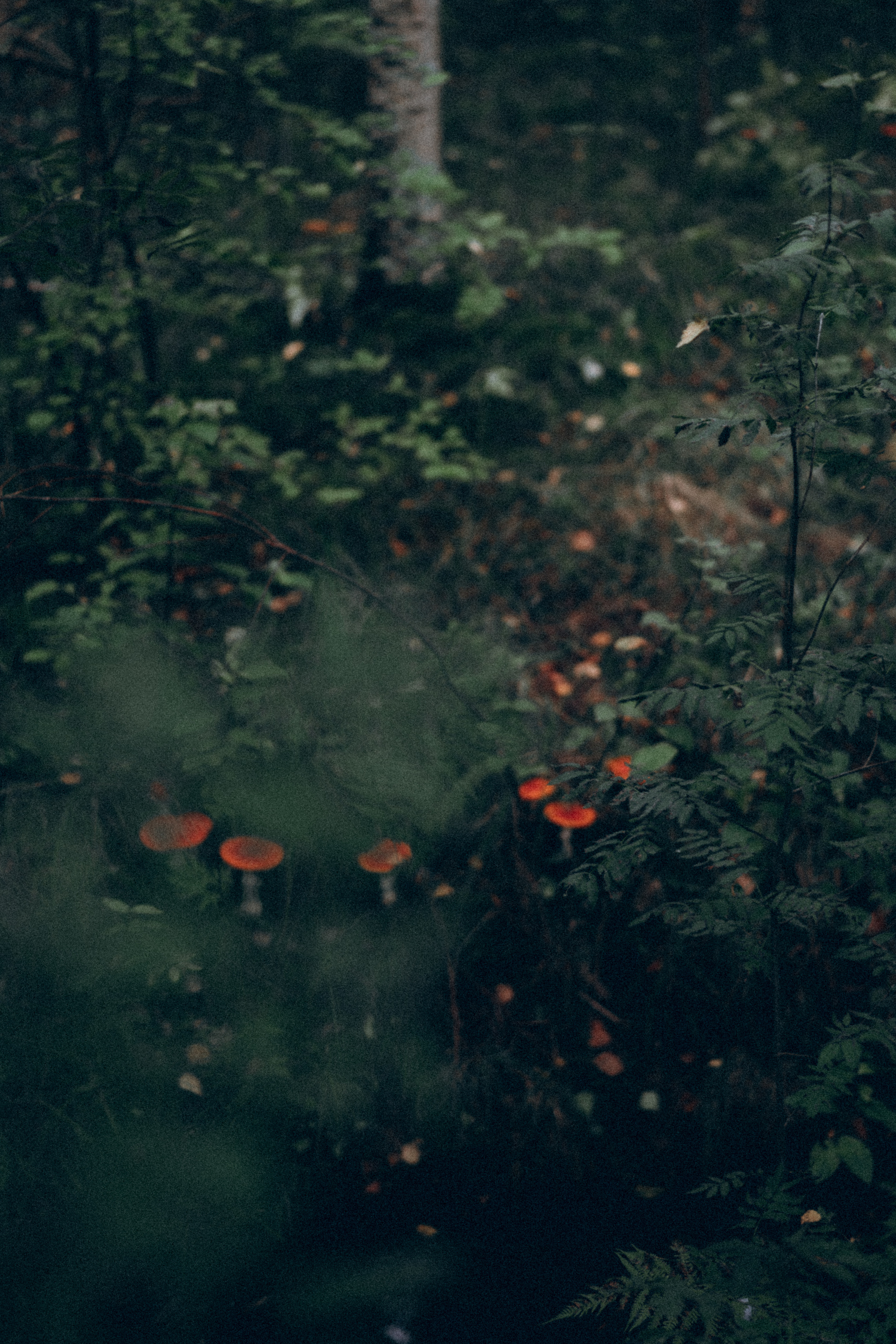 Игорь и Гоша. Фотограф в Санкт-Петербурге Батурина Елена