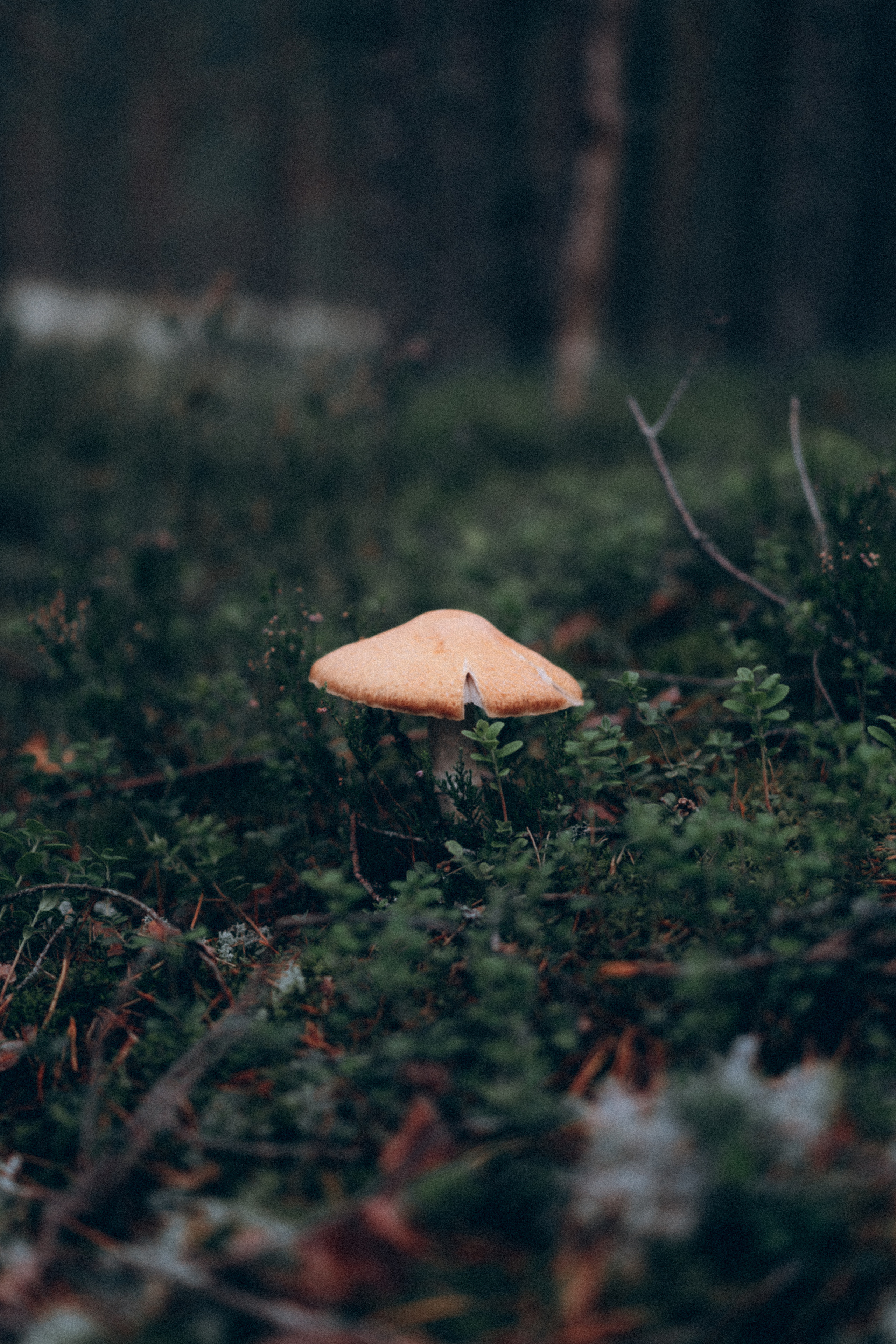 Игорь и Гоша. Фотограф в Санкт-Петербурге Батурина Елена