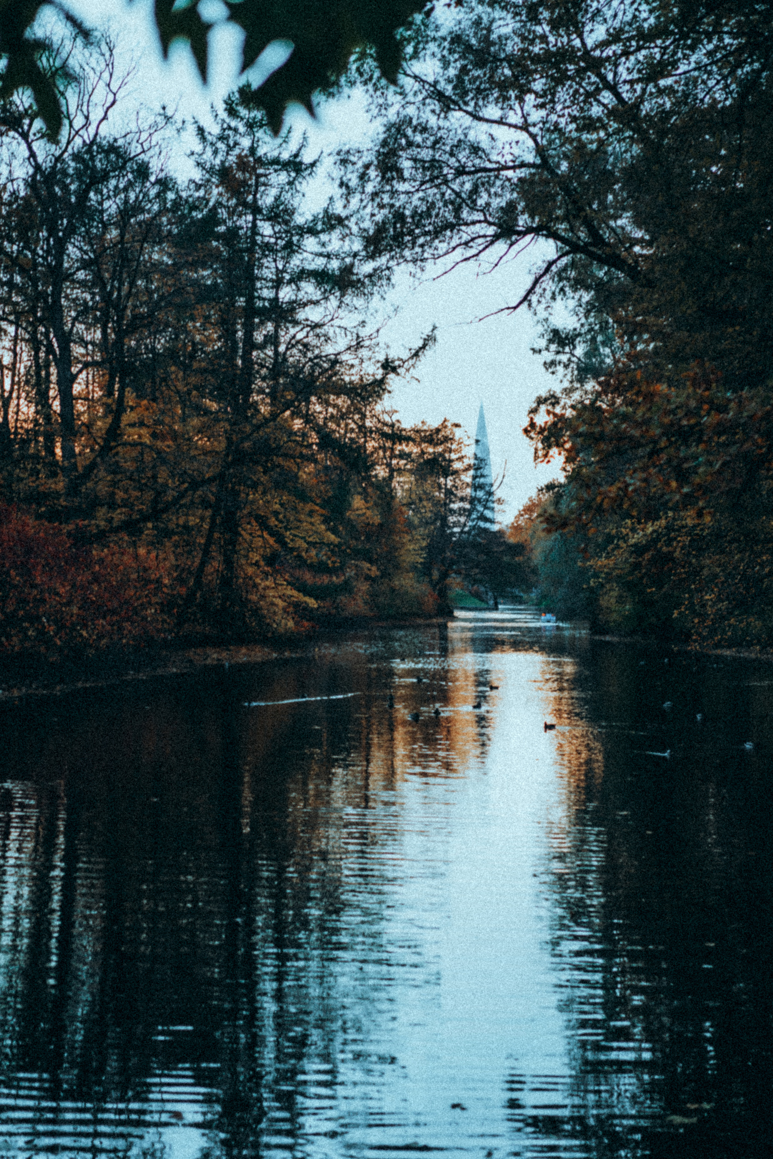 Ольга. Фотограф в Санкт-Петербурге Батурина Елена