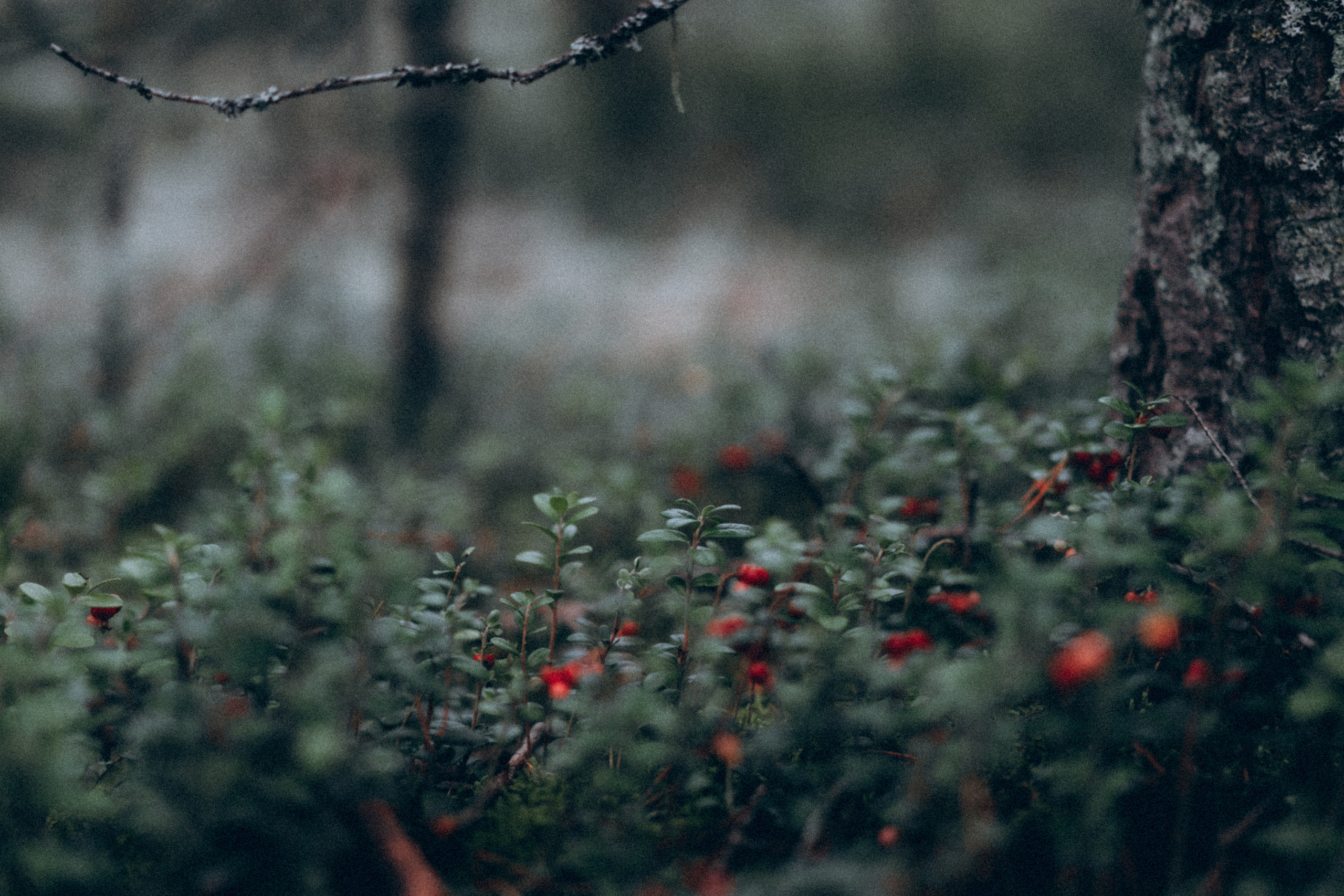 Игорь и Гоша. Фотограф в Санкт-Петербурге Батурина Елена