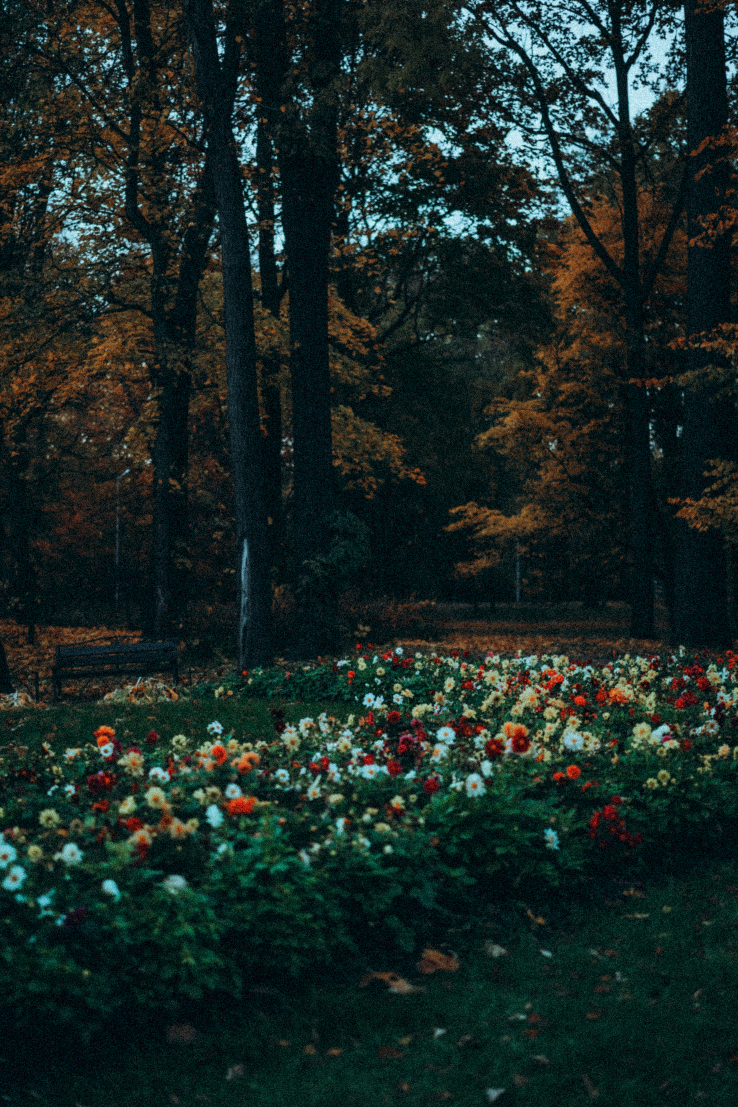 Ольга. Фотограф в Санкт-Петербурге Батурина Елена