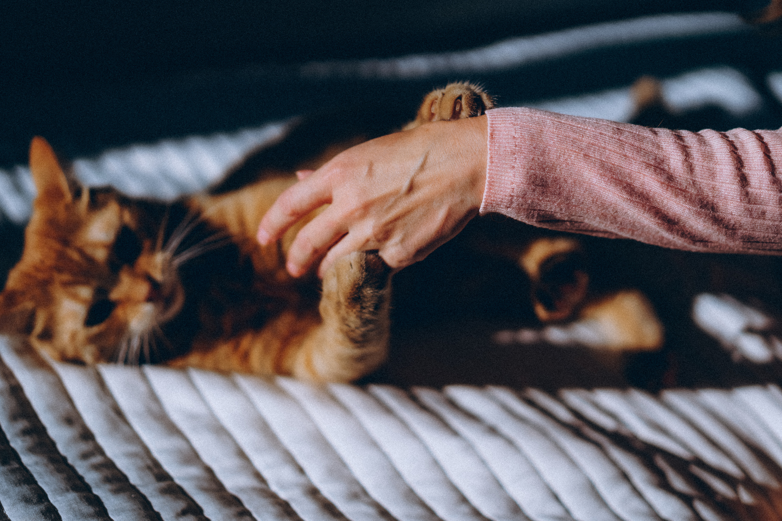 Настя. Фотограф в Санкт-Петербурге Батурина Елена