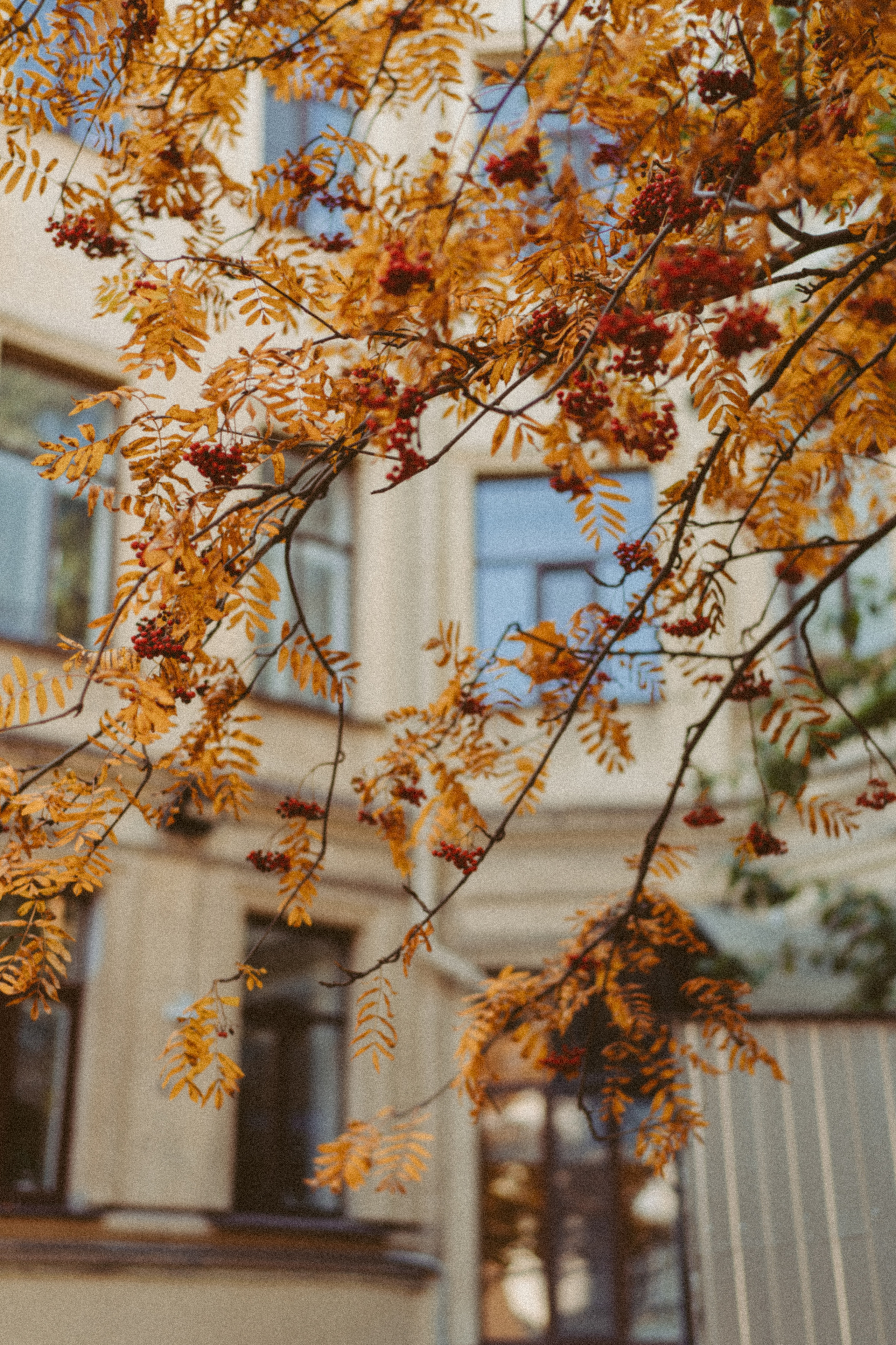 Аня. Фотограф в Санкт-Петербурге Батурина Елена