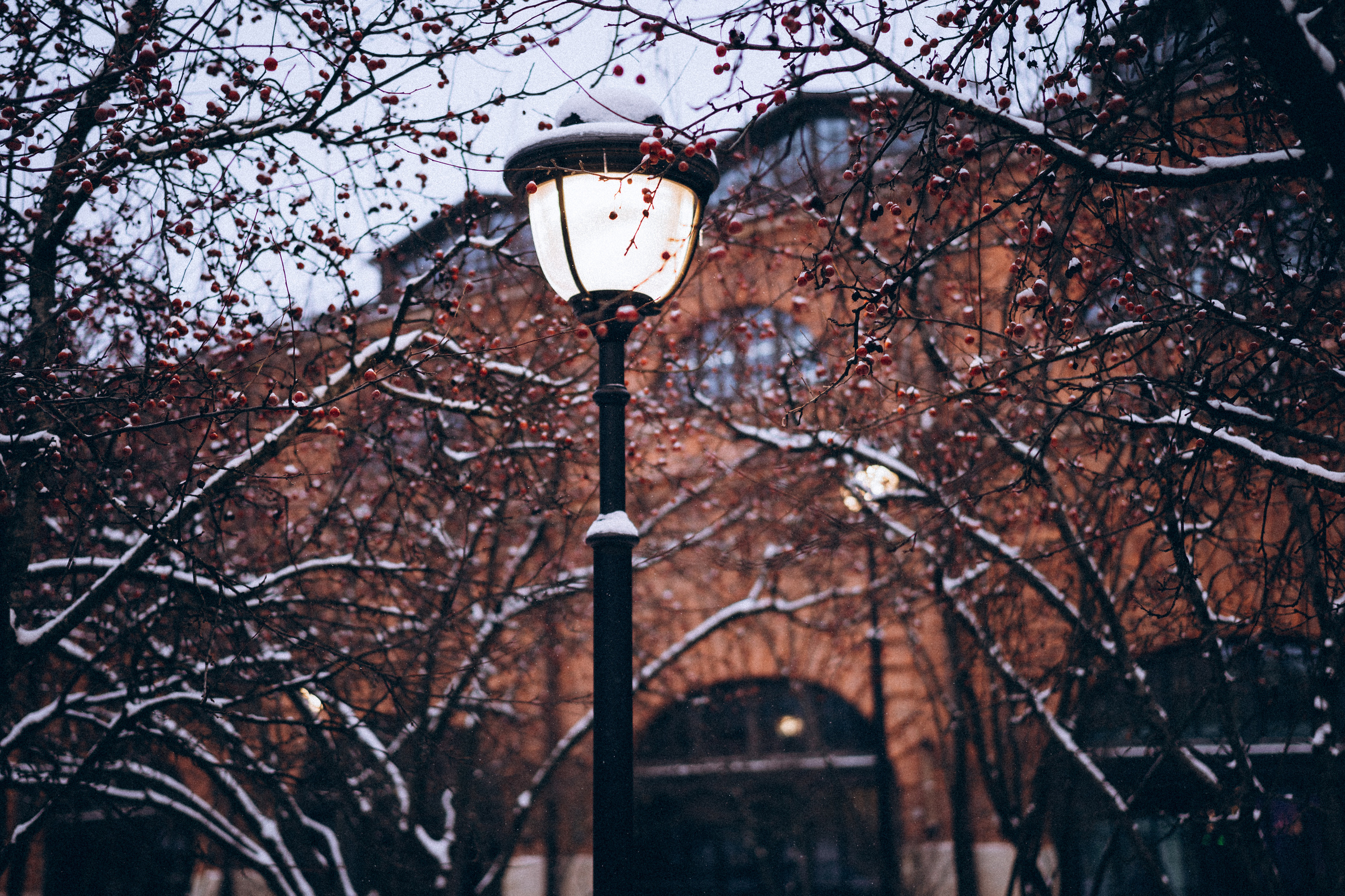 Даша. Фотограф в Санкт-Петербурге Батурина Елена