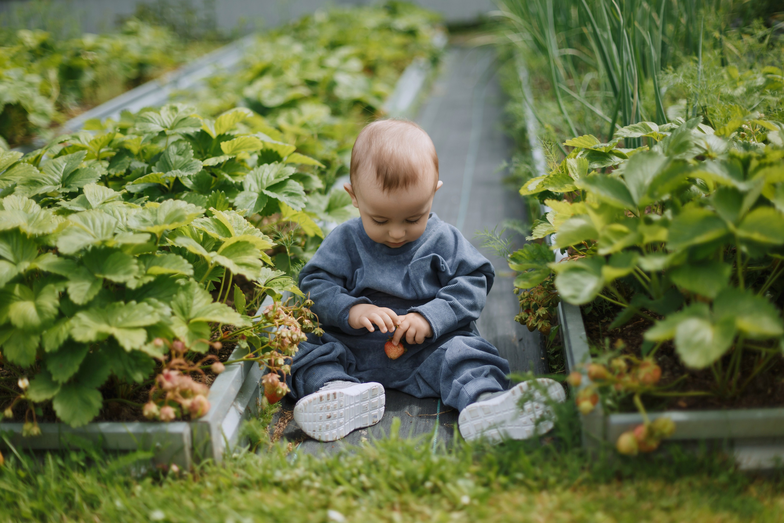 Большое Олино семейство. Профессиональный фотограф Надежда Антонова