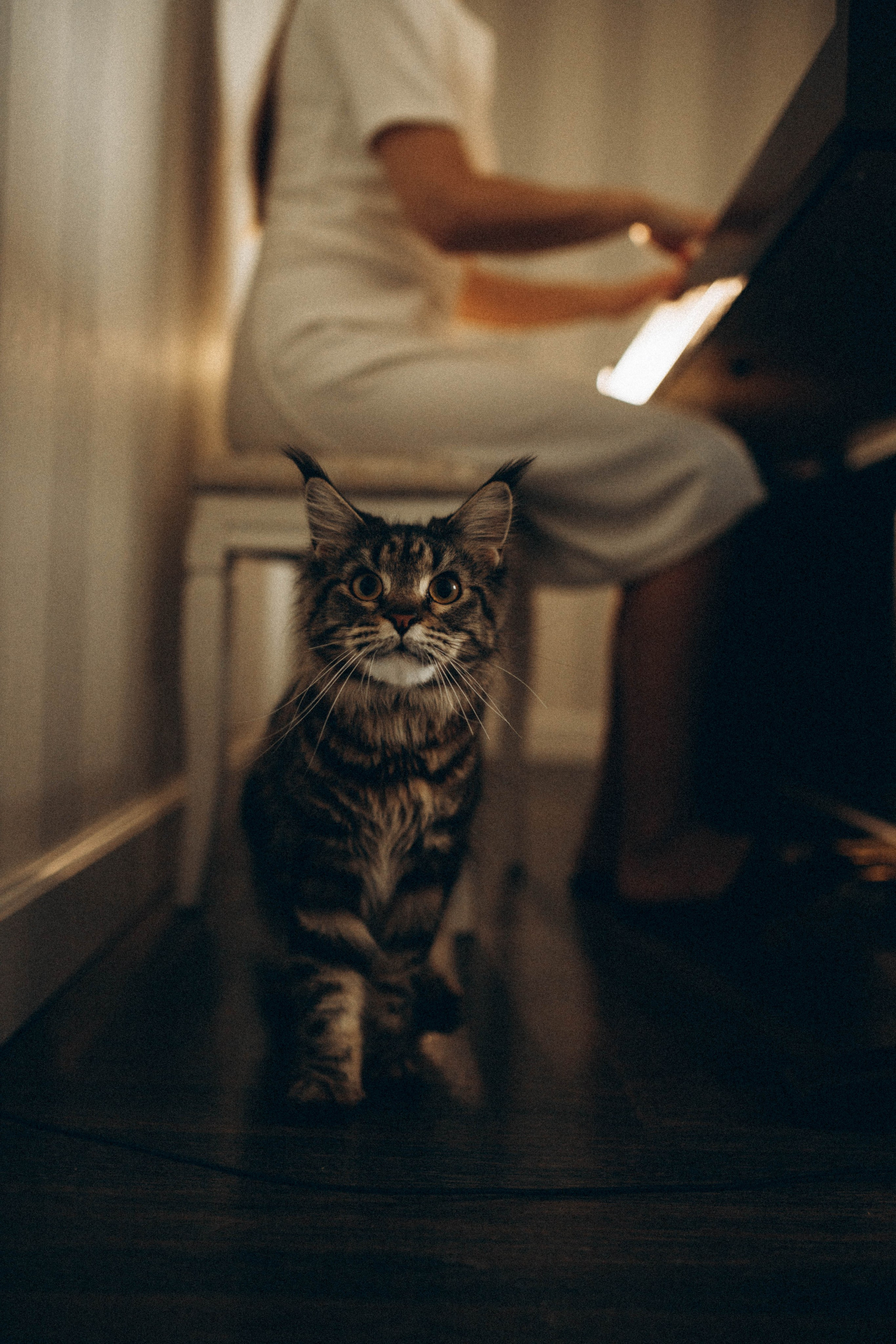 Преподаватель музыки