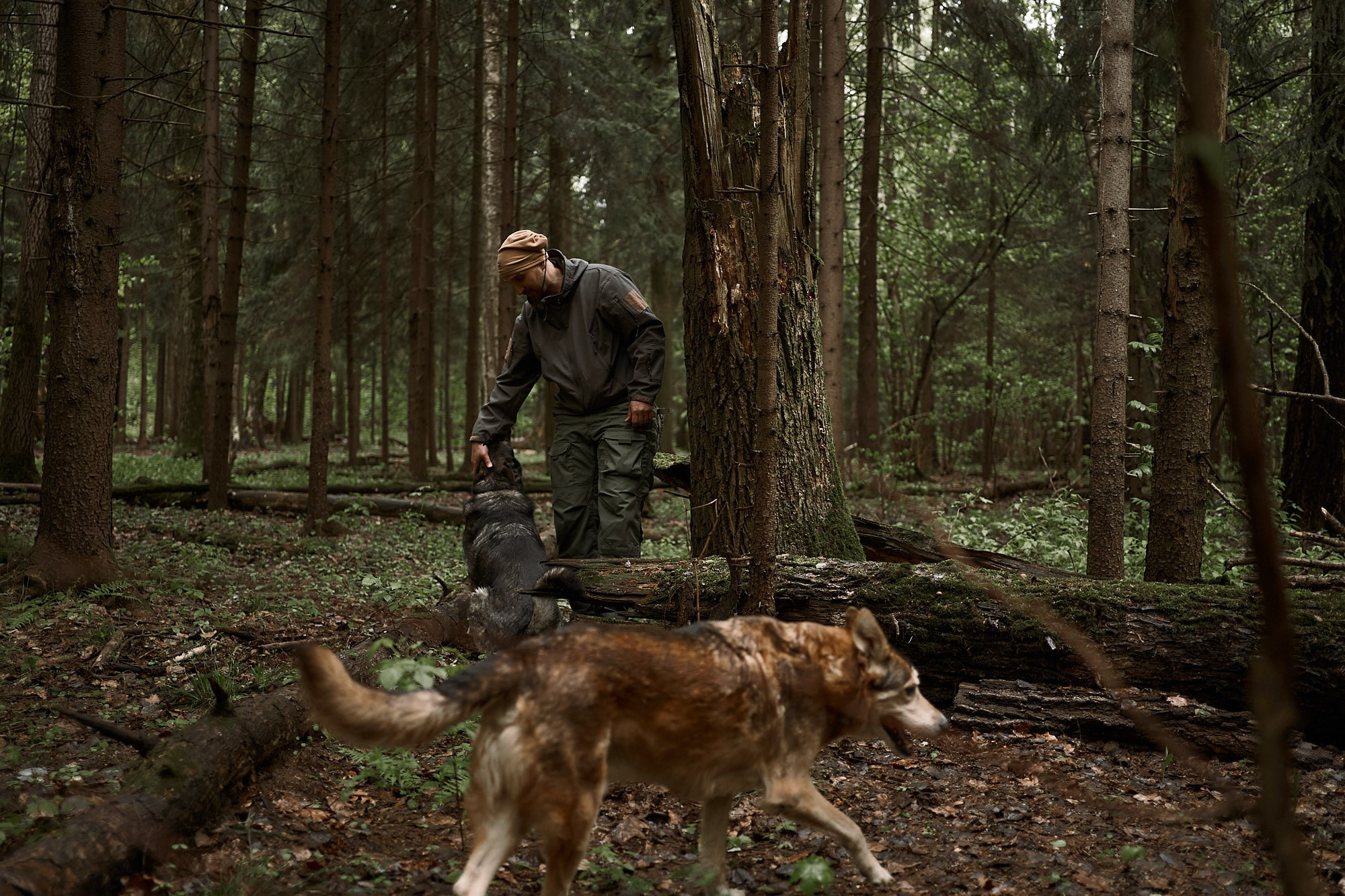 Дима, Рыжий и Воля. Фотограф анималист Москва Дарья