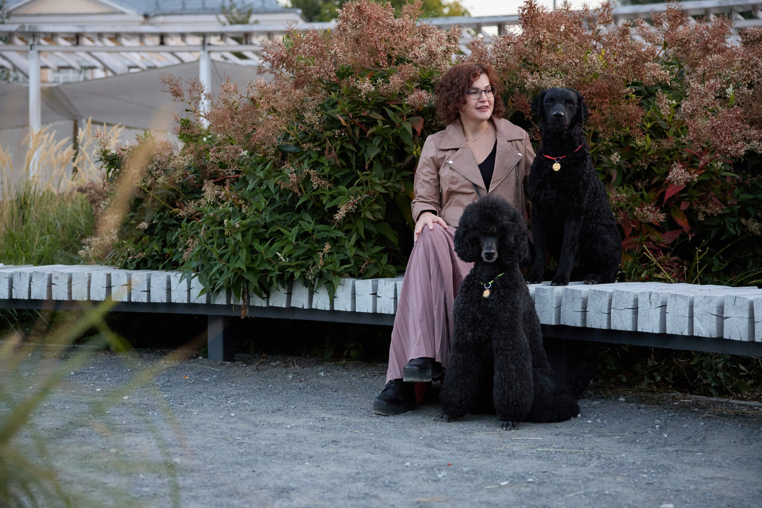 Альбина. Марфа и Мистик. Прогулка в парке. Фотограф анималист в Казани Алина Сулейманова. Фотограф животных