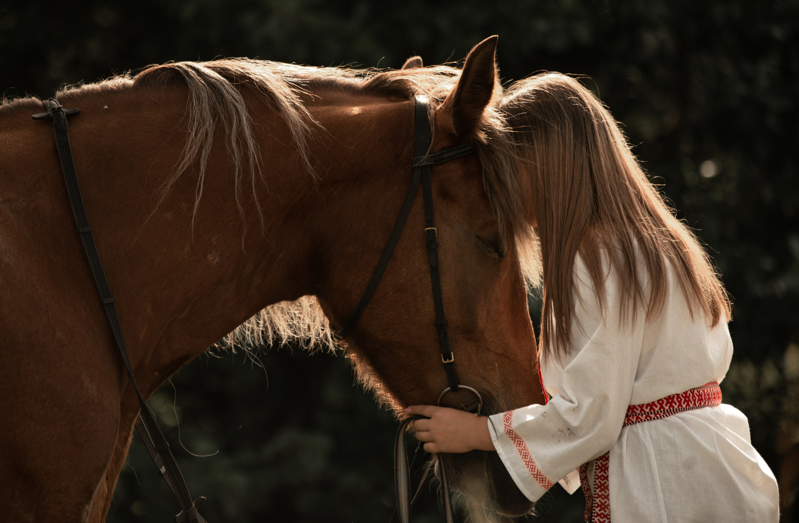 Вероника и Марта. Конный фотограф в Саратове Юлия Иванова