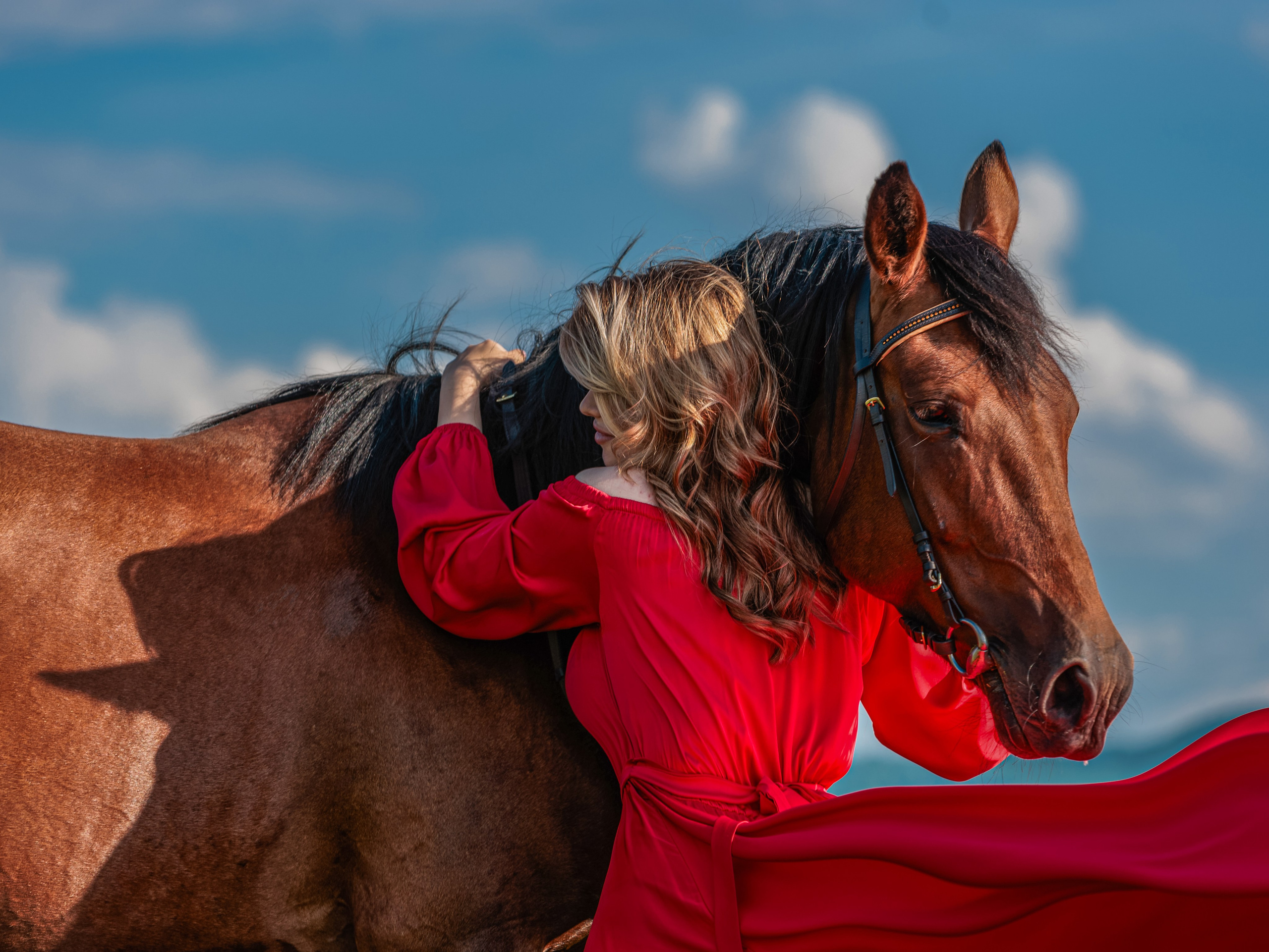 Донские конюшни. Конный фотограф в Красноярске — Любовь Похабова