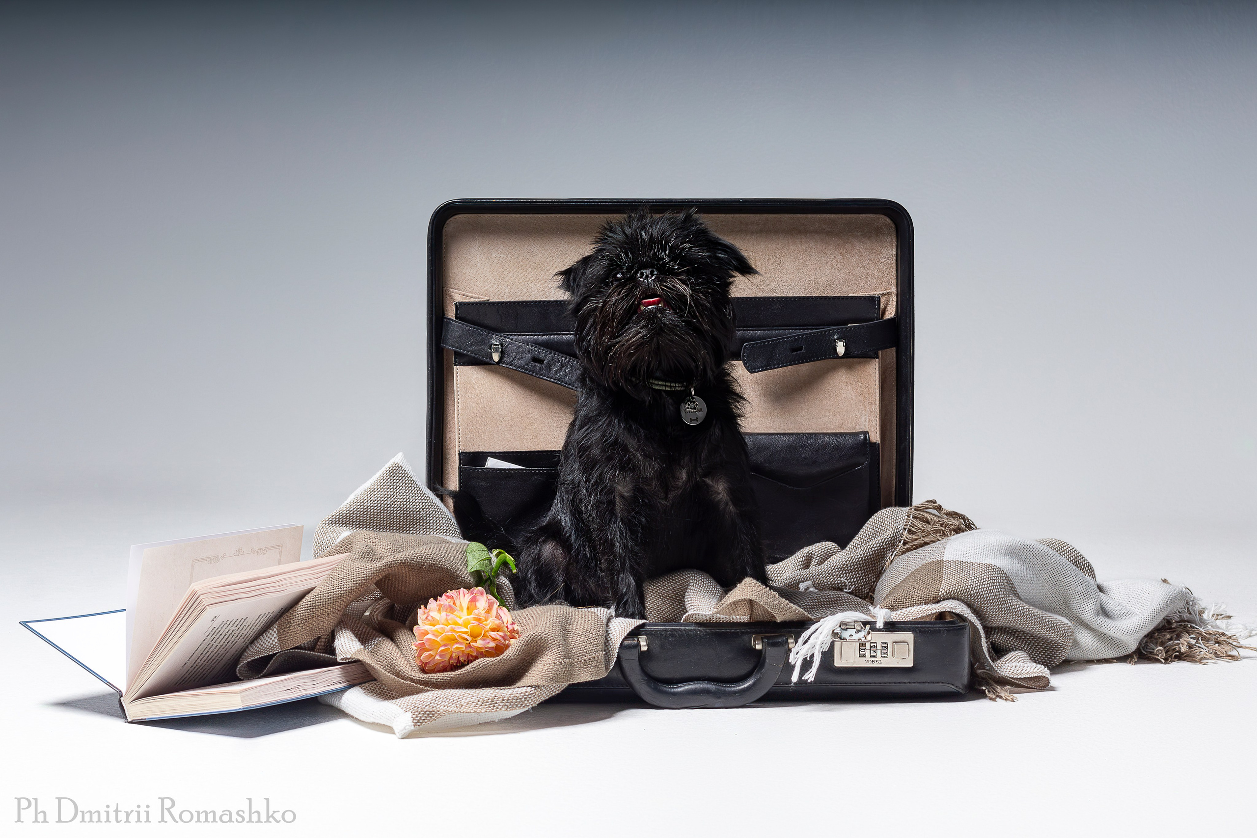 Анималистка. Фотограф Дмитрий Ромашко