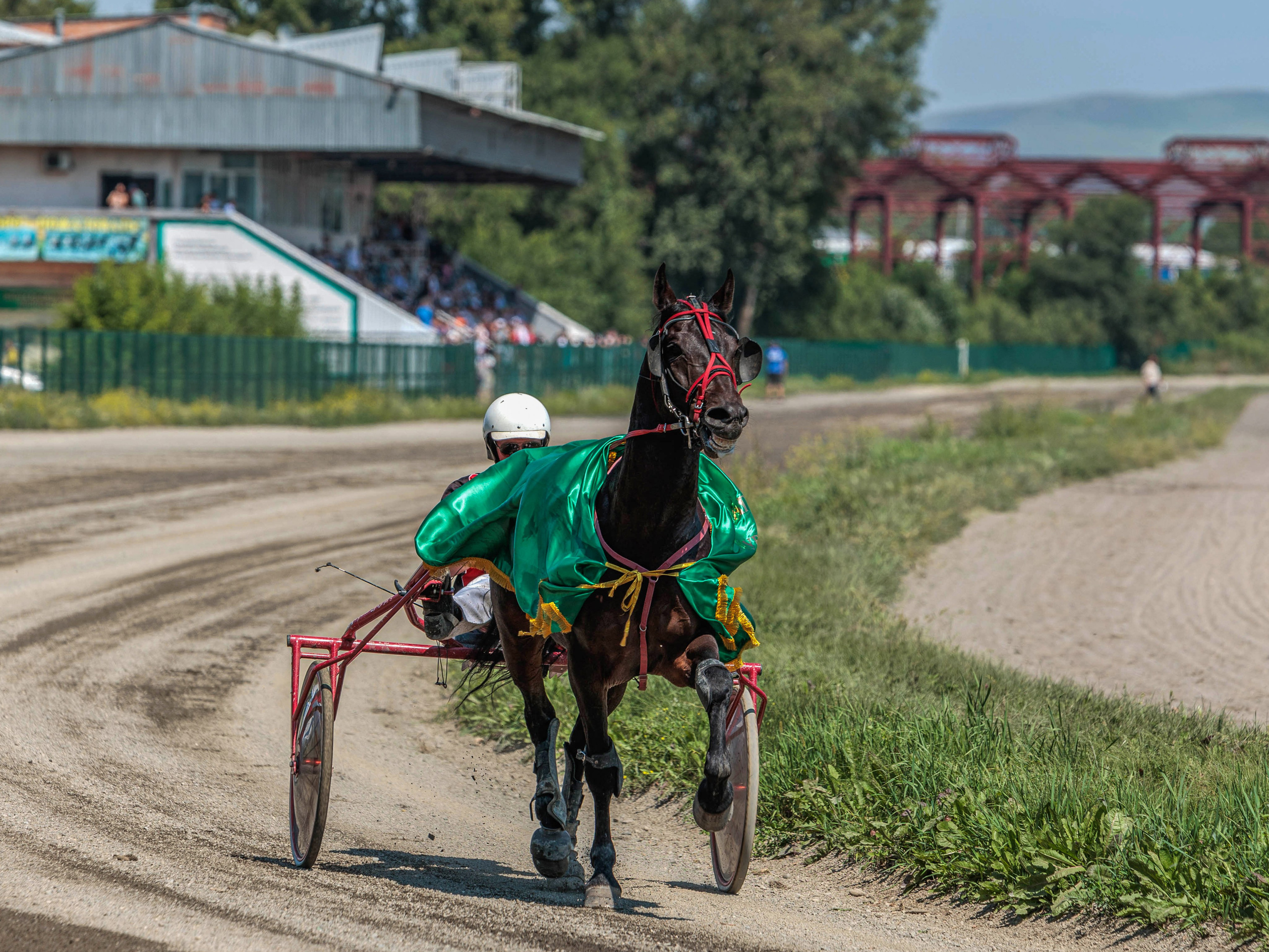 Зарисовки Абаканский ипподром 2025. Конный фотограф в Красноярске — Любовь Похабова