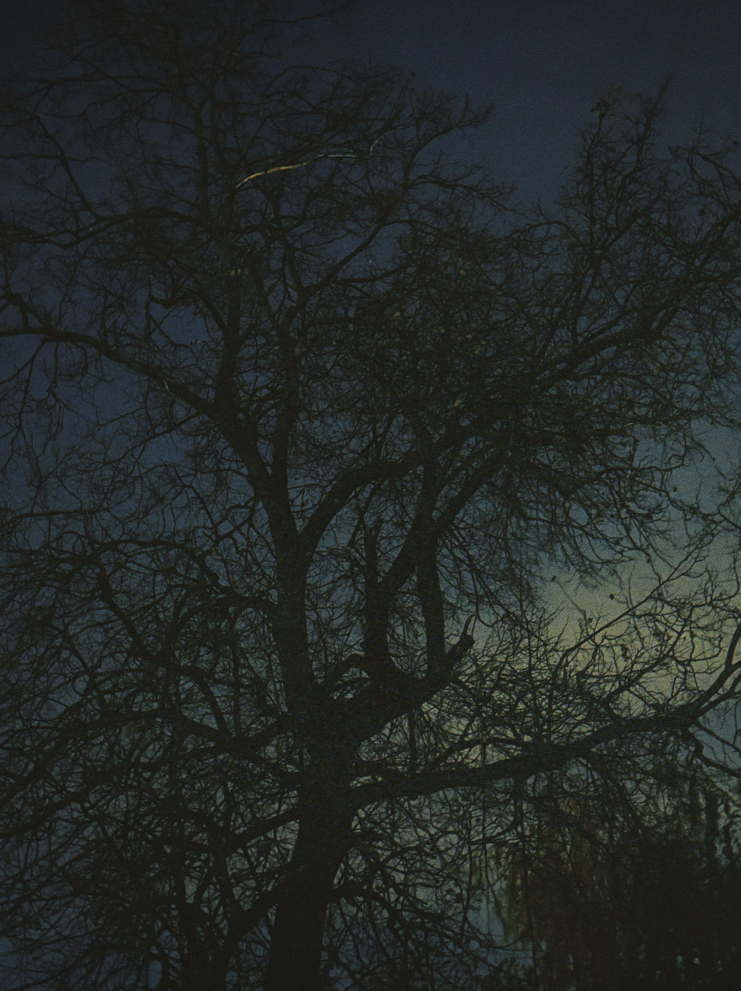 Рефлексия. Портретный фотограф