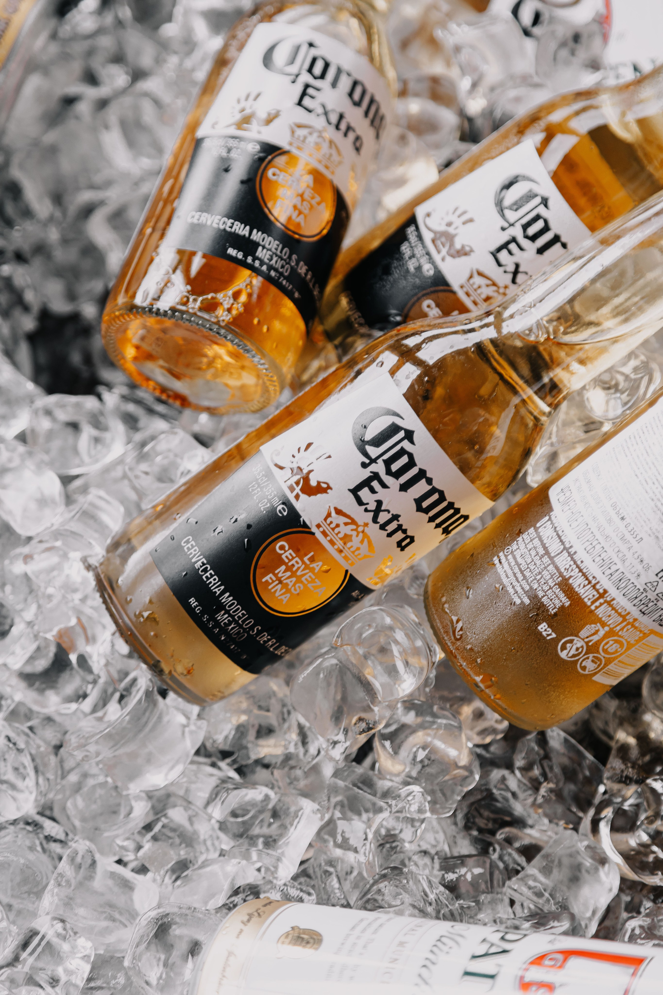 Анастасия и Павел. Свадебный и портретный фотограф в Новосибирске Анастасия Рос