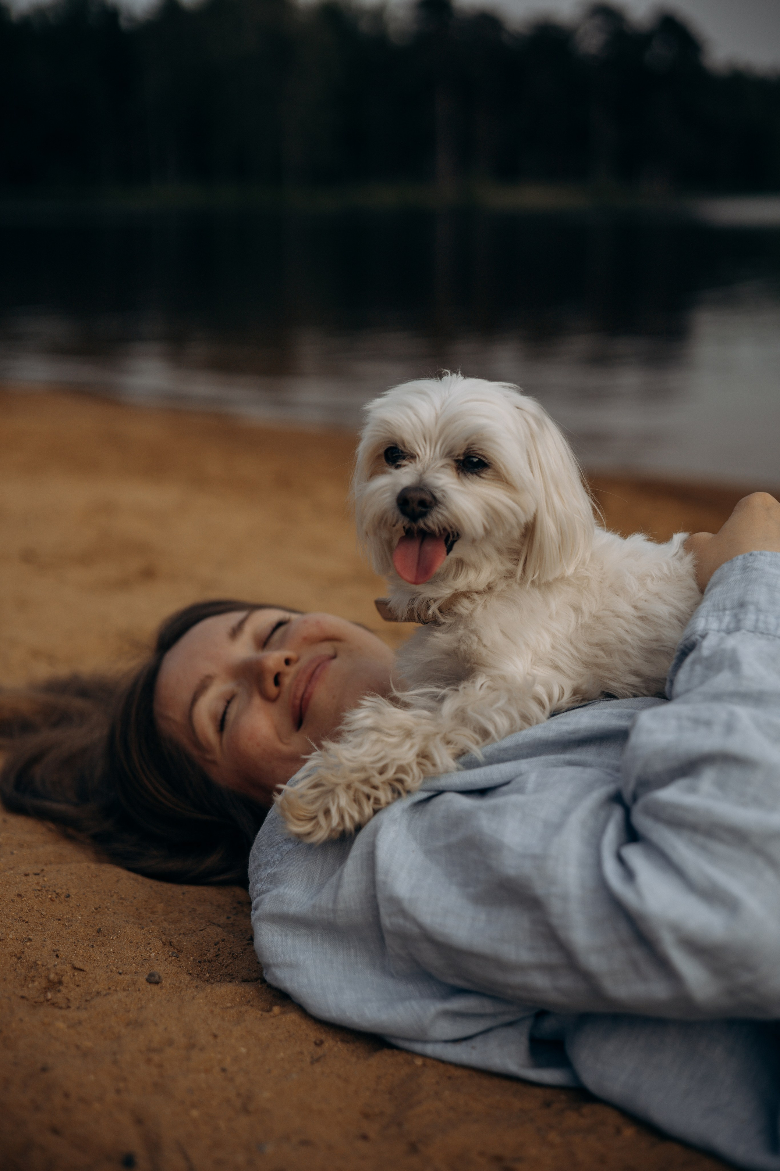 Оля и Джастин. Фотограф — анималист •love-story•|Санкт-Петербург
