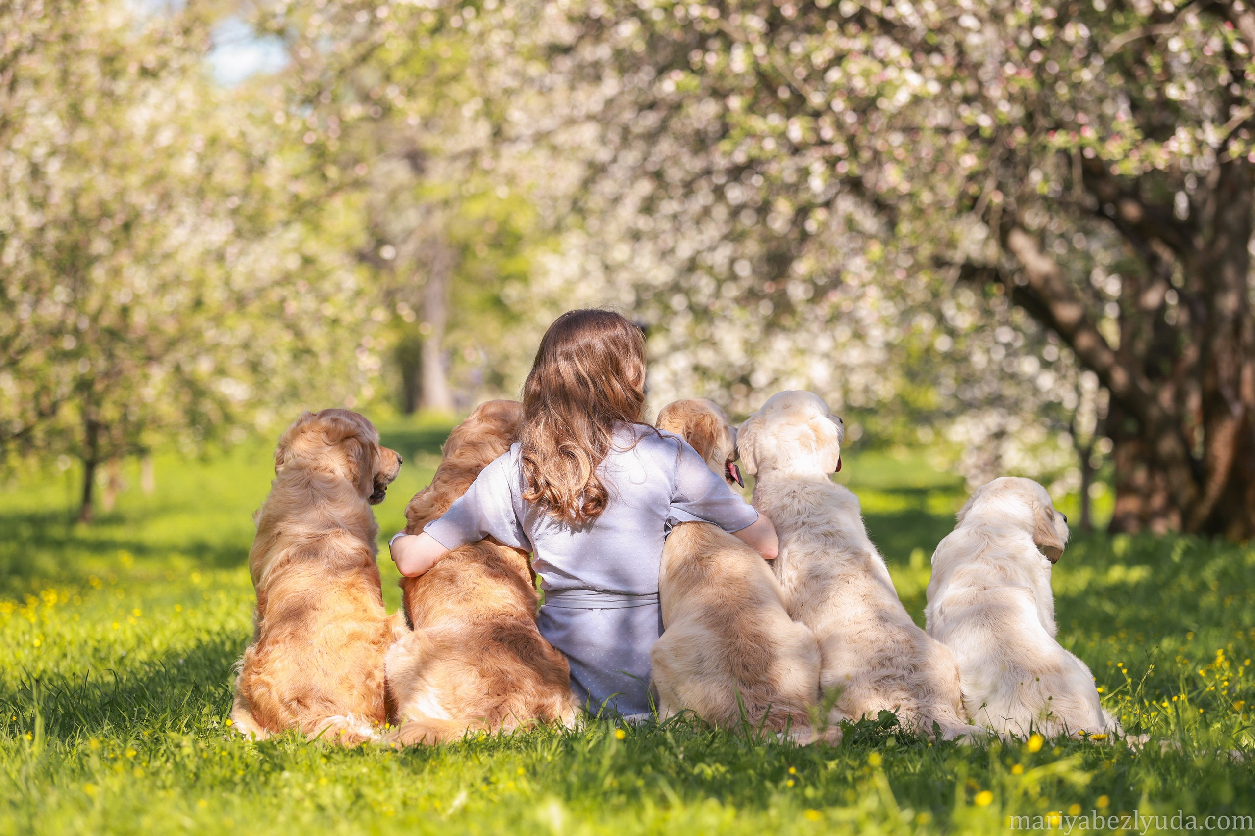 Собаки и их люди❤️. Семейный и детский фотограф в Москве Мария Быкова