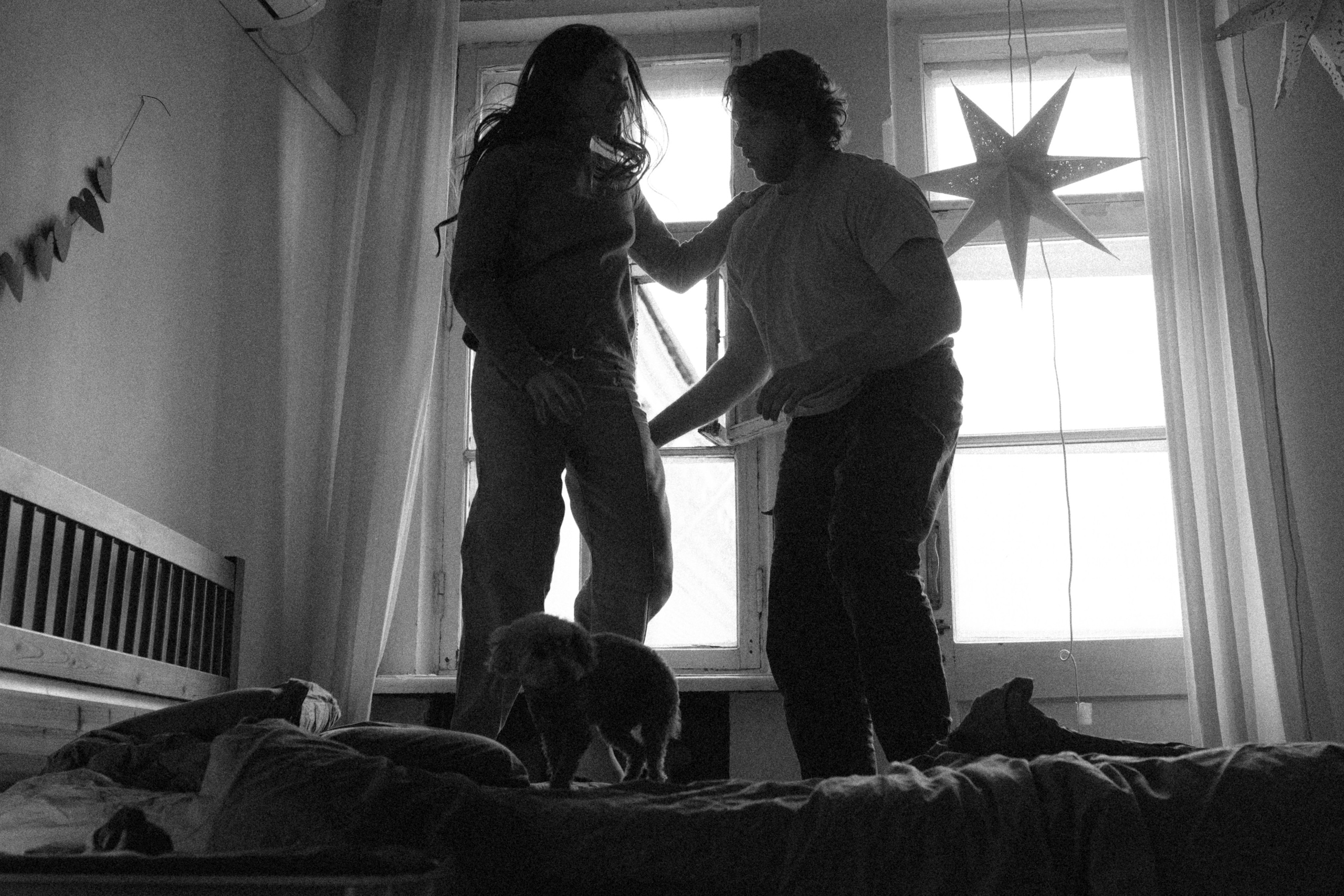 Ання и её кудрявая команда. Фотограф анималист в Москве Ольга Агушева