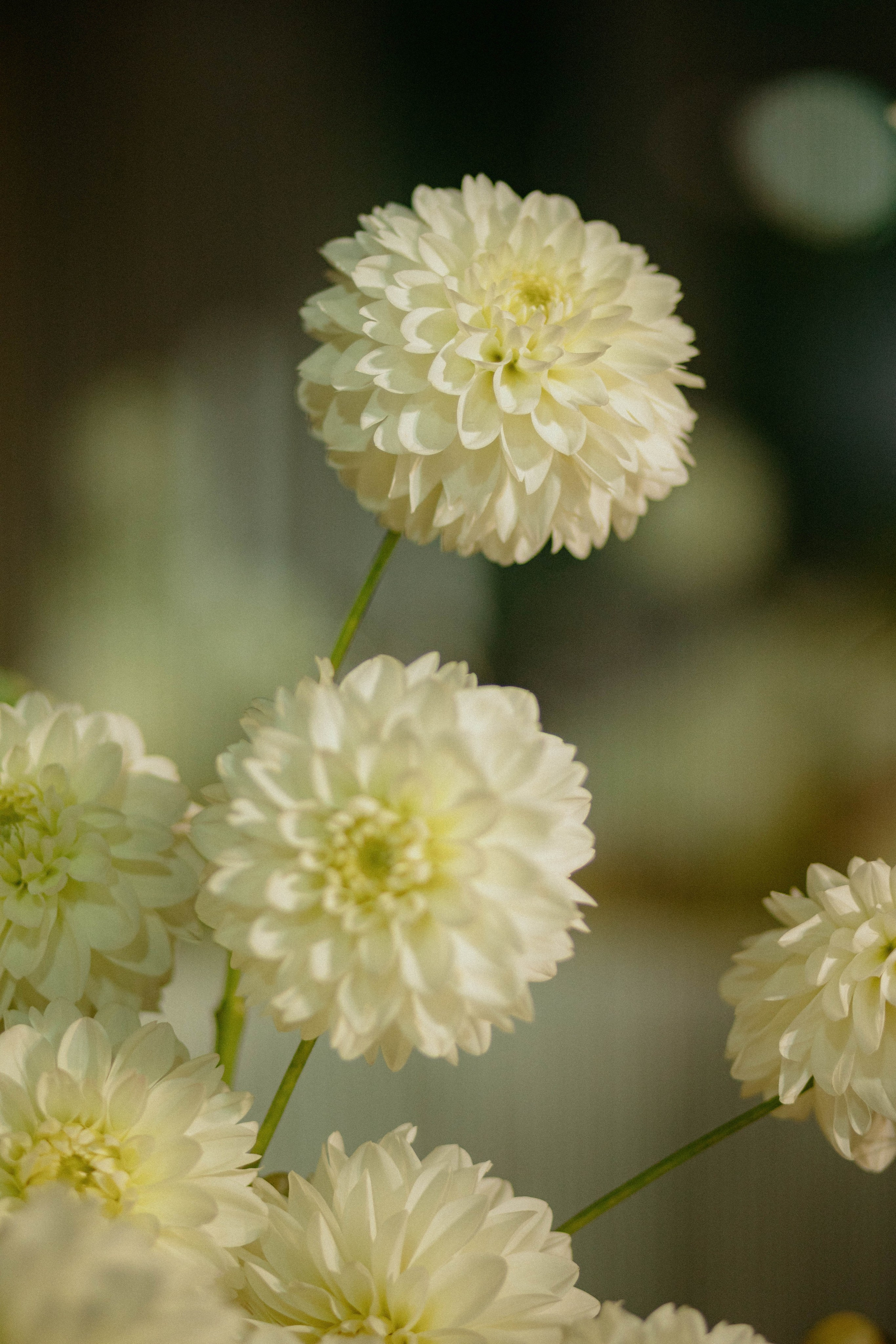 Илья и Анна. Фотограф Юсова Мария