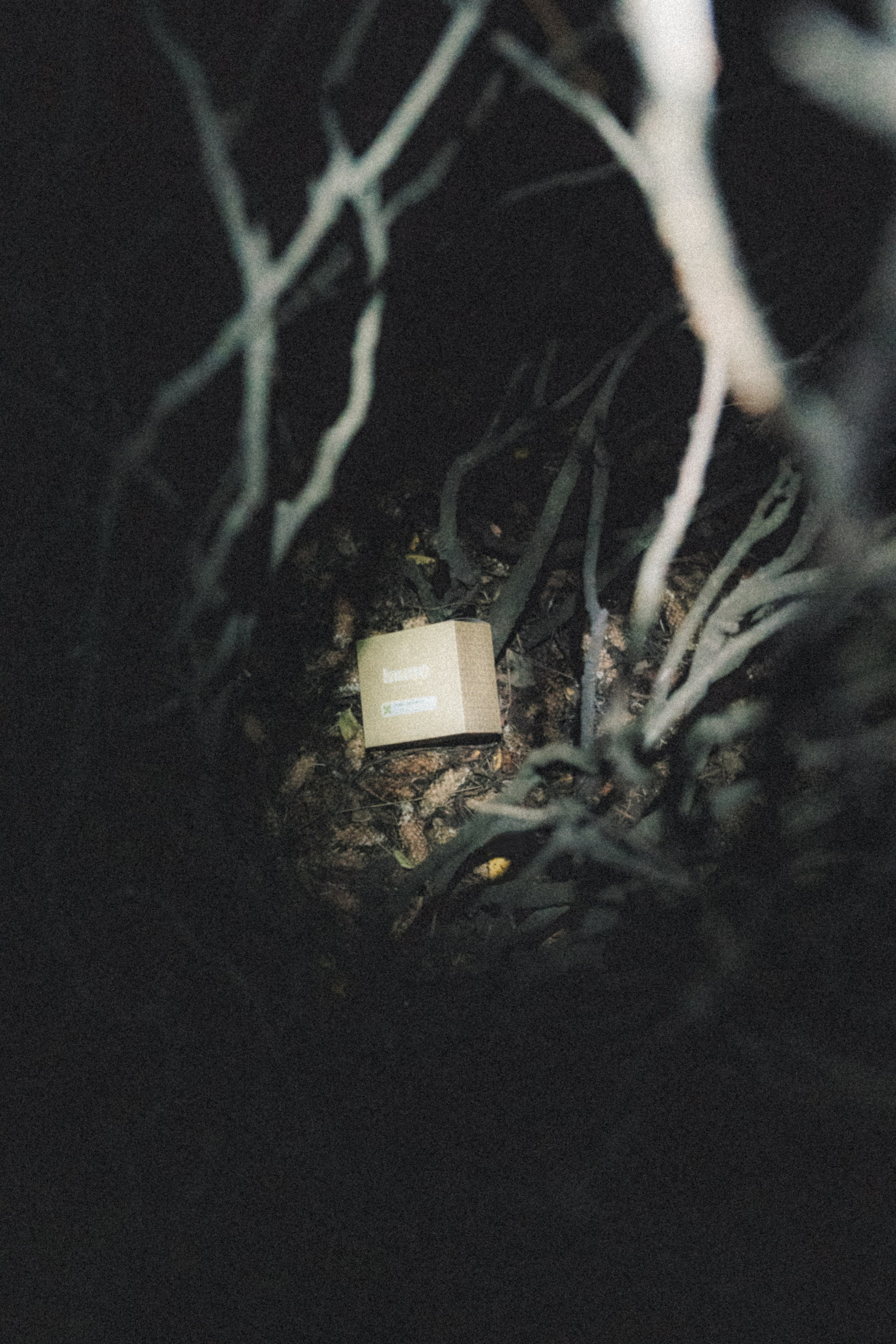 Fauno. Фотограф Илья К. в Москве