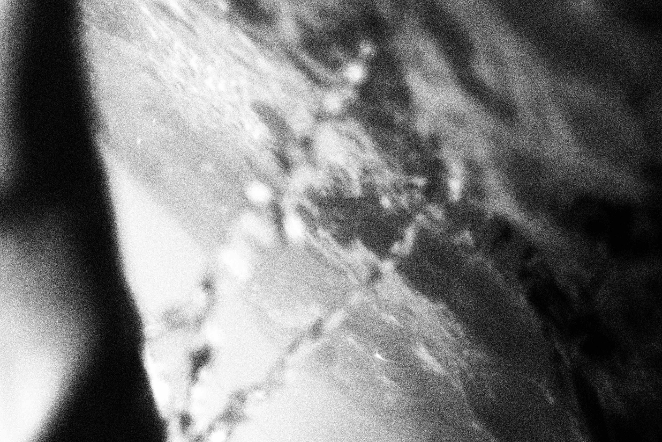 «Видеть. Чувствовать. Сохранять»