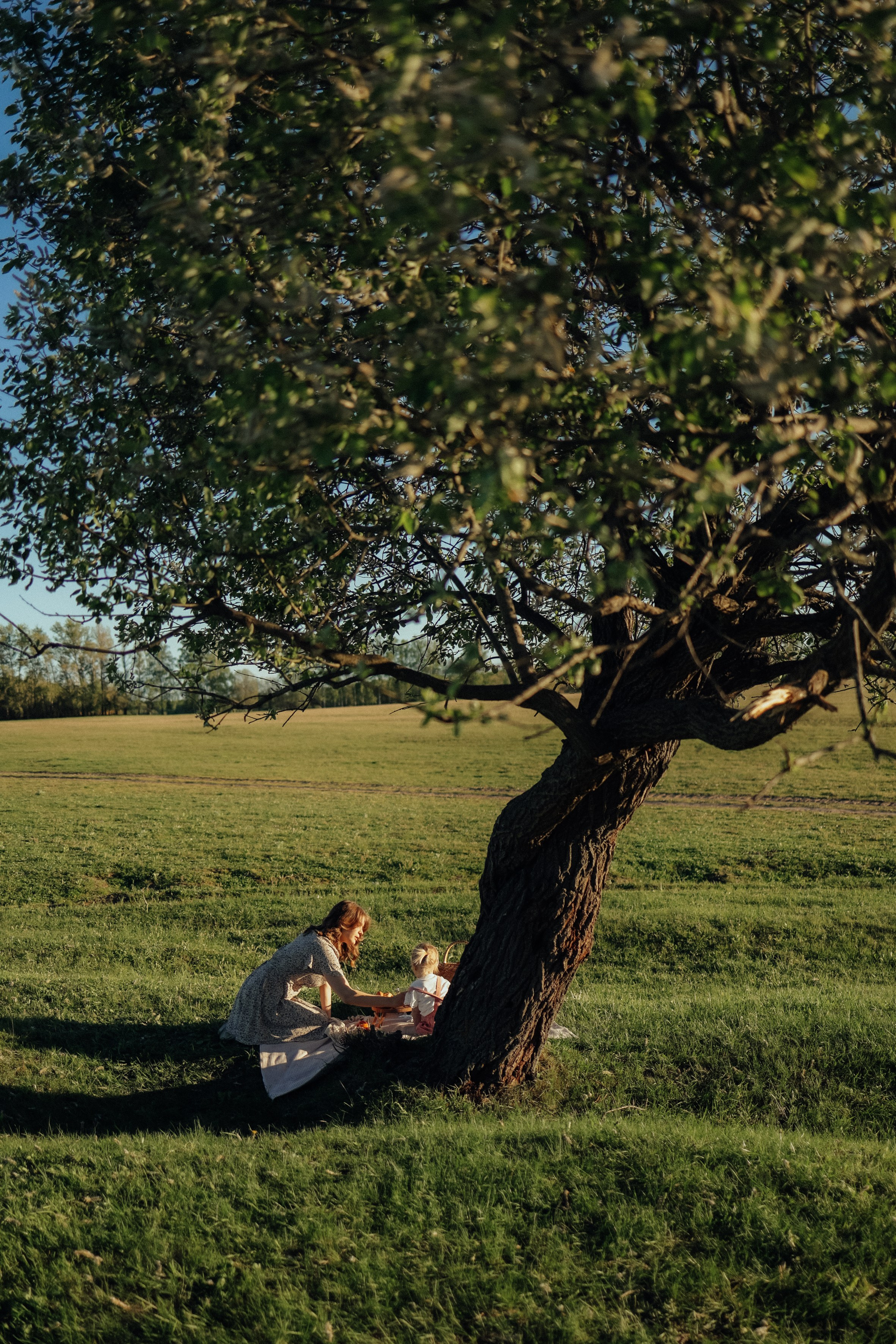 Семейные фотосессии в Нижнем Новгороде. Фотограф и видеограф Елена Лисина