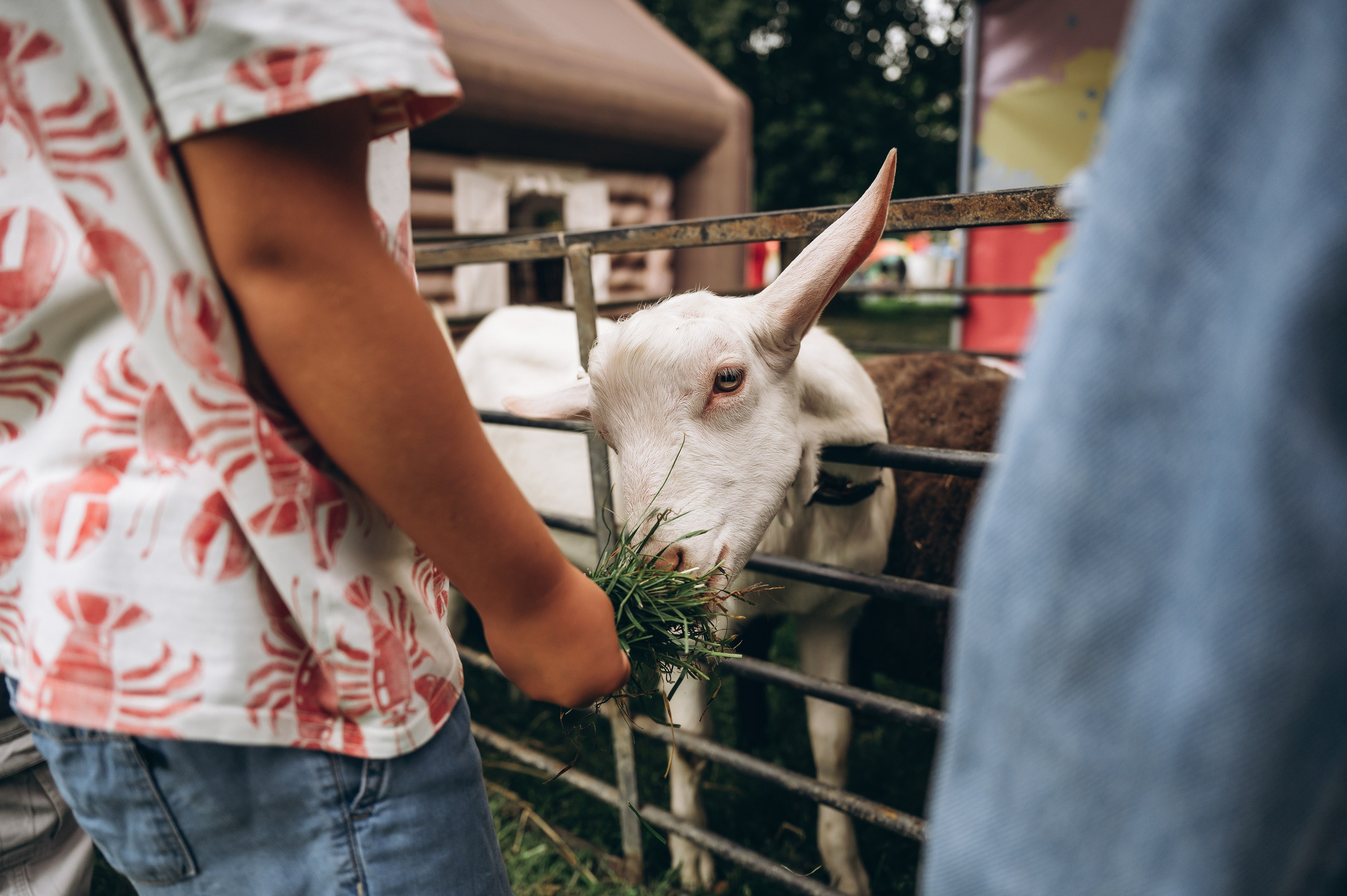 День города 2023. Фотограф Илья Солдаткин